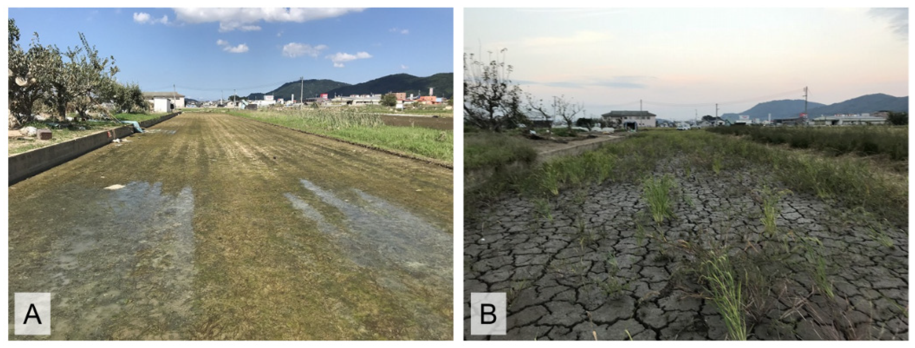 Animals 16 00369 g003