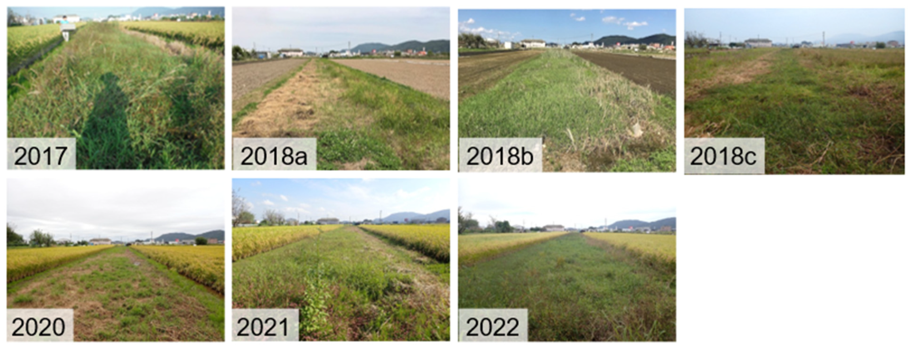 Animals 16 00369 g004