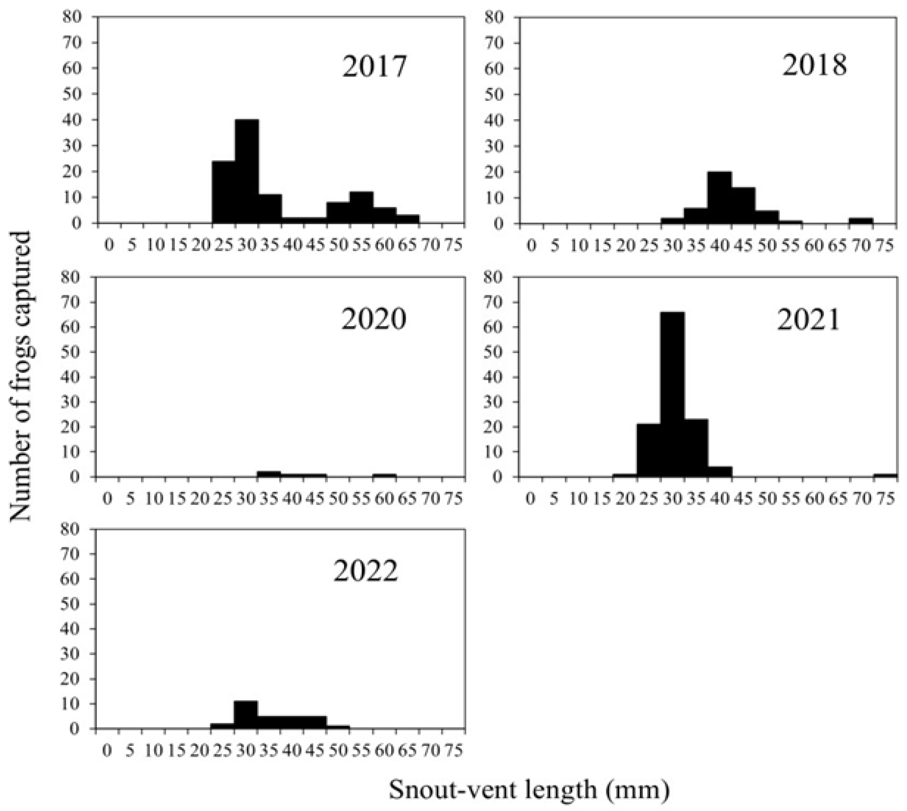 Animals 16 00369 g006