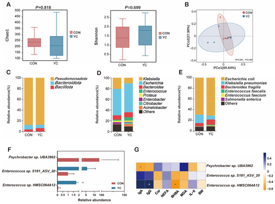can i take goycine with nac and glutathione together GlyNAC (Glycine and N-Acetylcysteine) Supplementation in Old Mice Improves  Brain Glutathione Deficiency, Oxidative Stress, Glucose Uptake,  Mitochondrial Dysfunction, Genomic Damage, Inflammation and Neurotrophic  Factors to Reverse Age-Associated