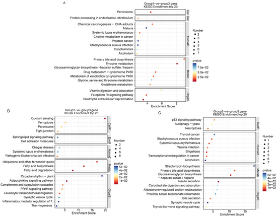 Genetic Variation of Schizothorax wangchiachii Populations Between