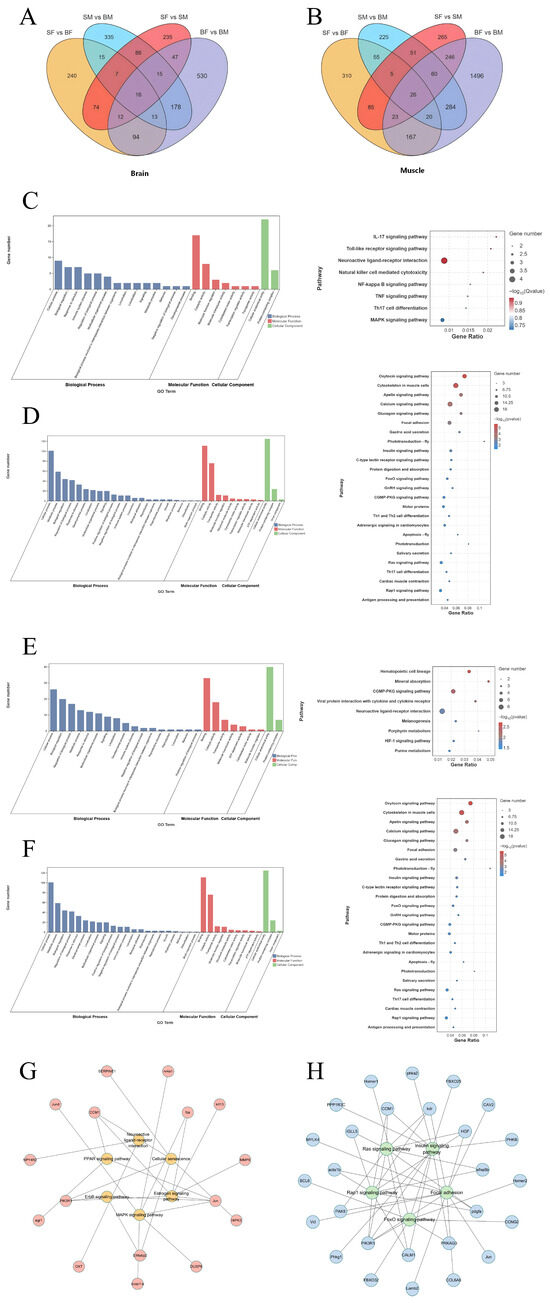 Integrative Transcriptome Analysis and WGCNA Uncover the Growth