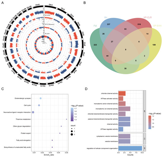 Integrated SNP and SV Analyses Reveal Genetic Mechanisms