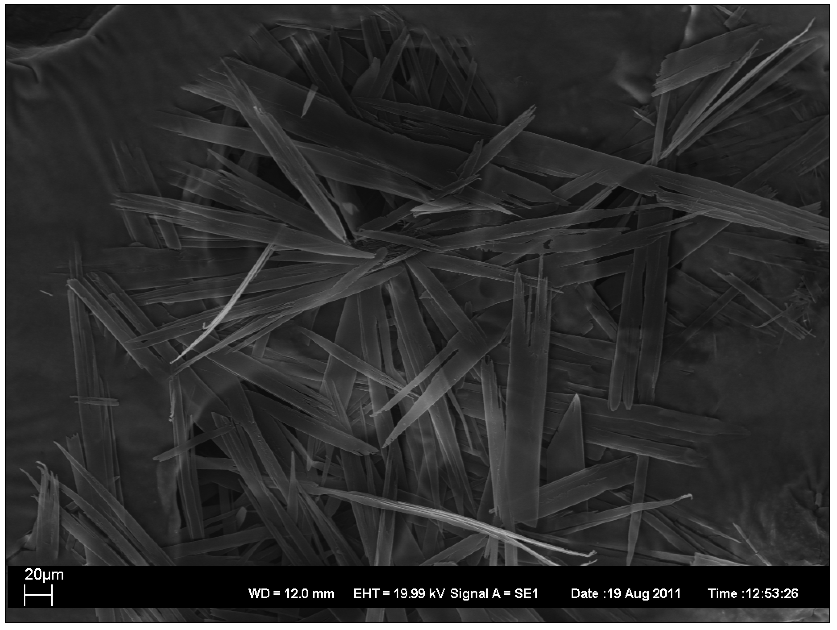 Antibiotics 01 00017 g002