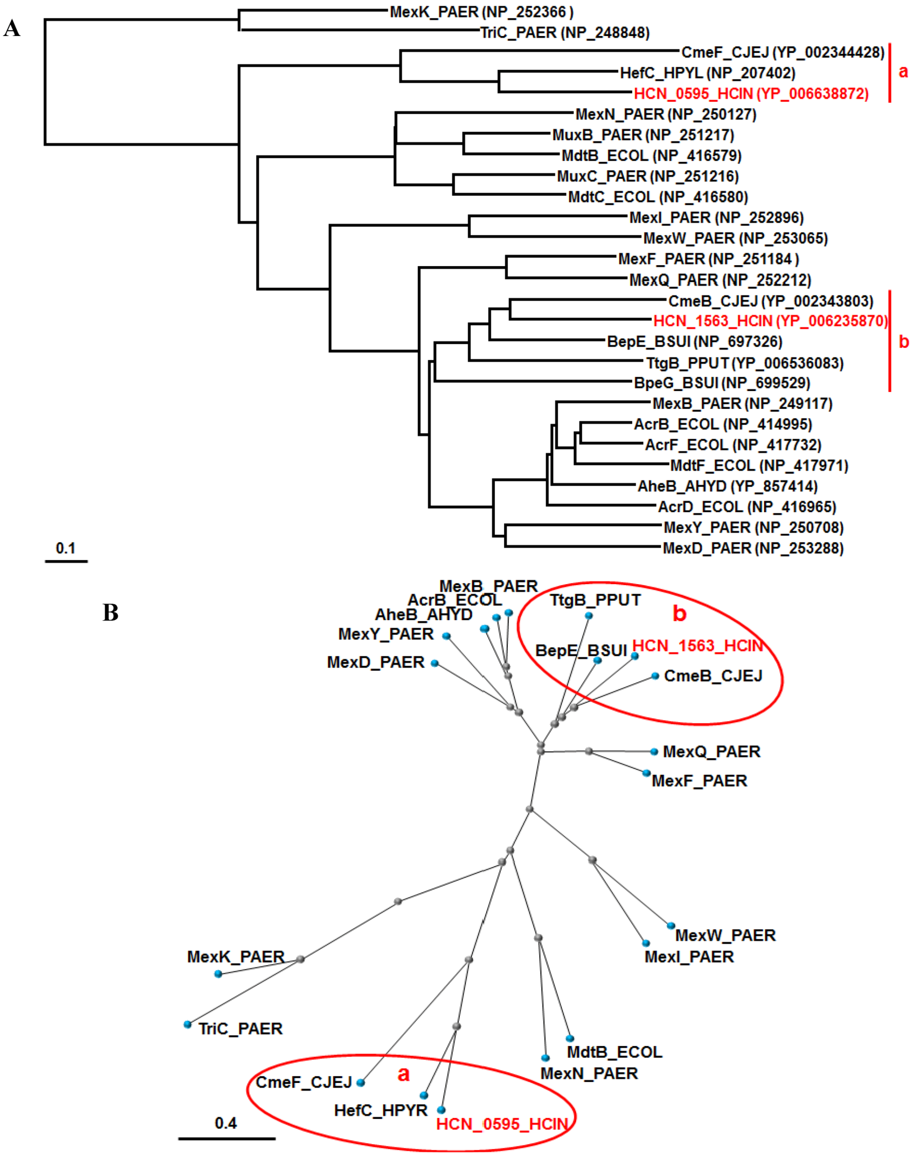 Antibiotics 01 00029 g002 1024