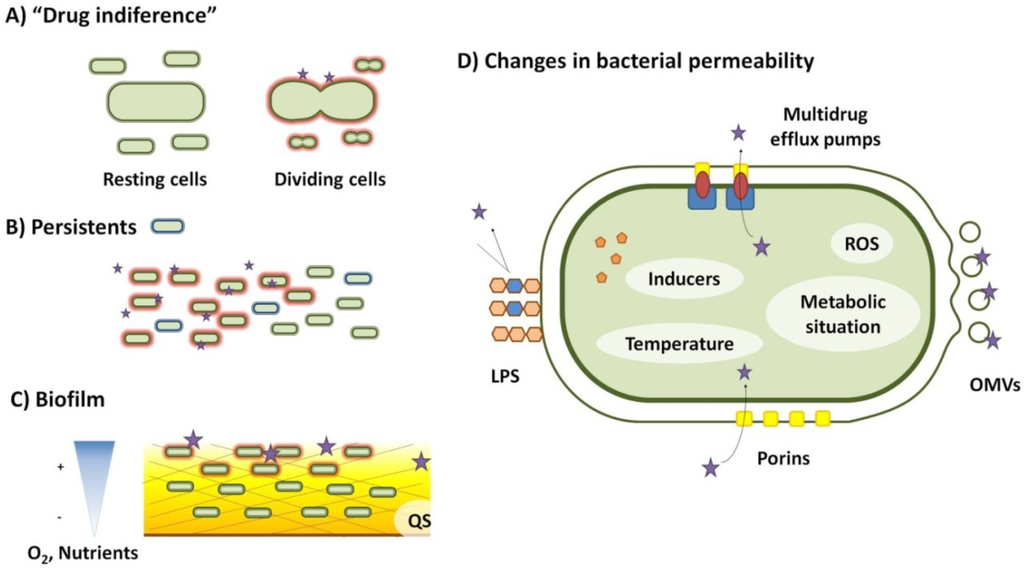 Antibiotics, Free Full-Text