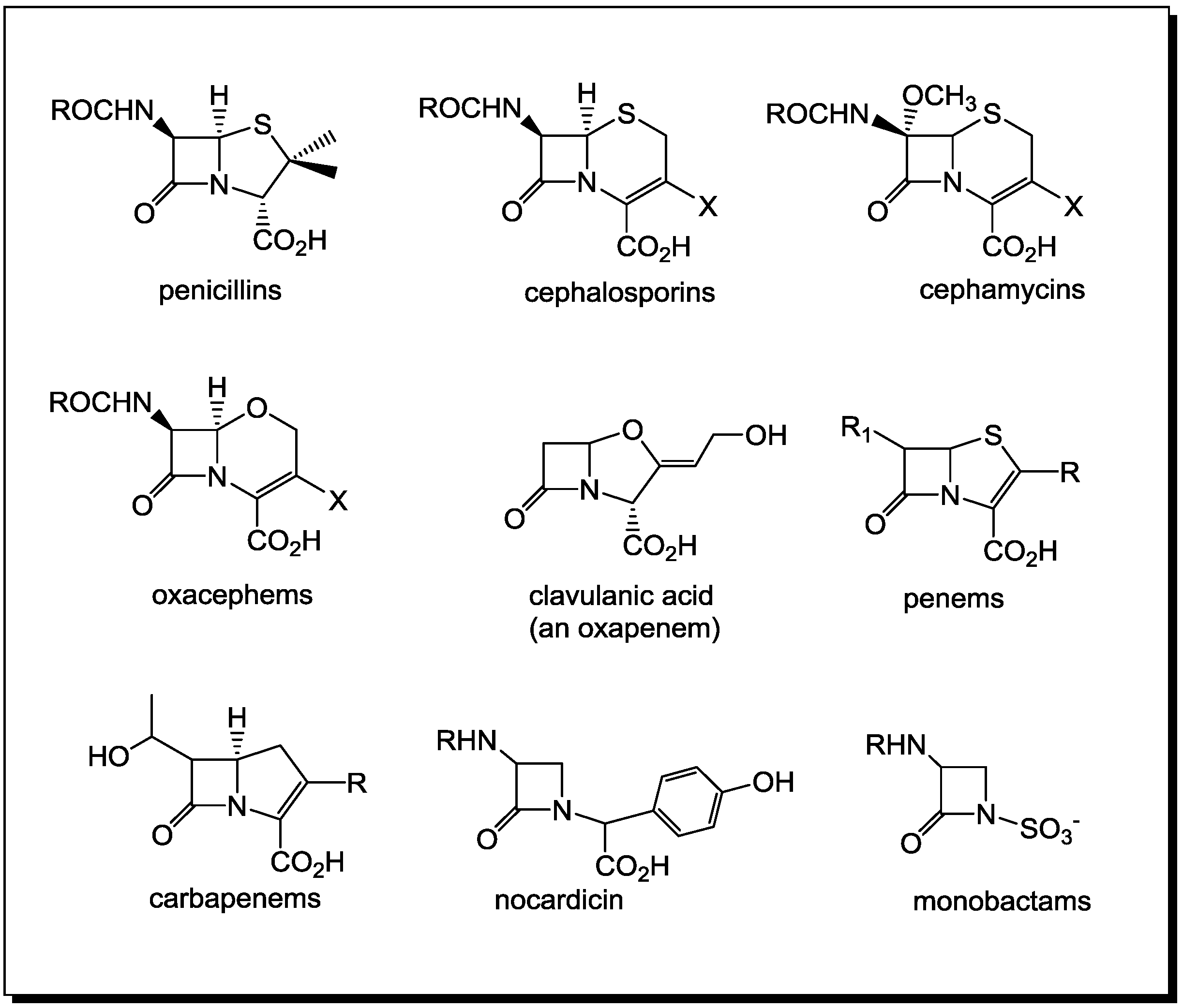 Antibiotics Free Full Text Molecular Targets Of B Lactam Based Antimicrobials Beyond The Usual Suspects Html