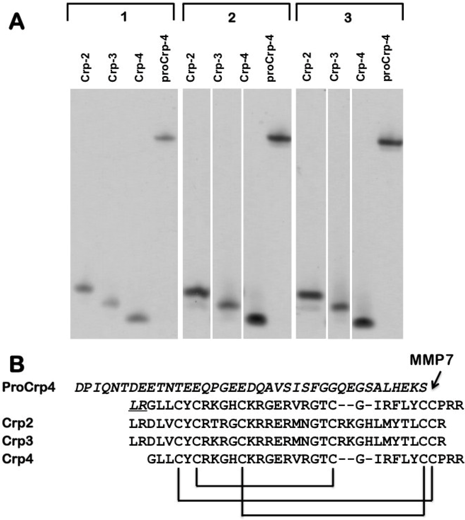 Antibiotics 03 00493 g001