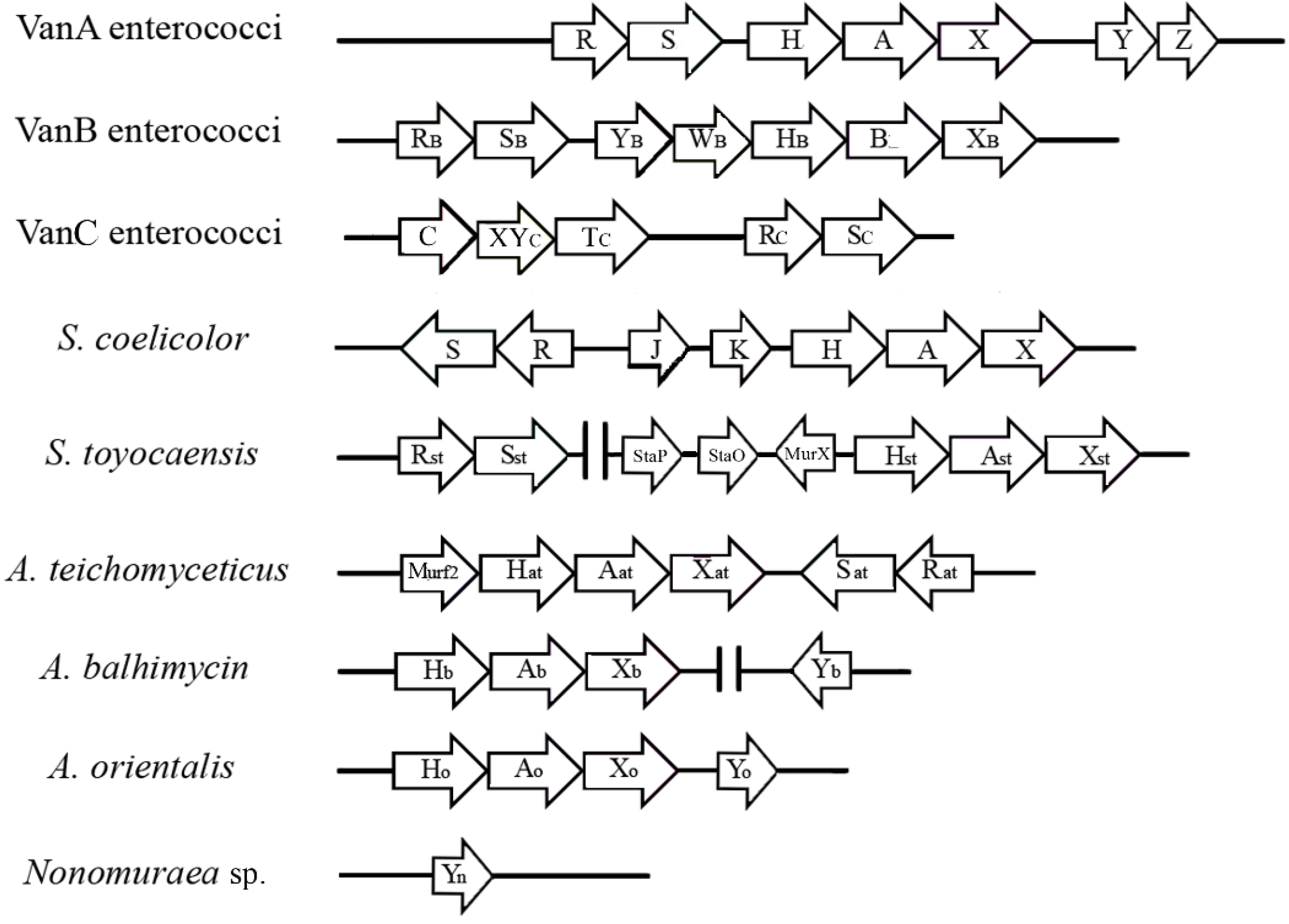 Antibiotics 03 00572 g002