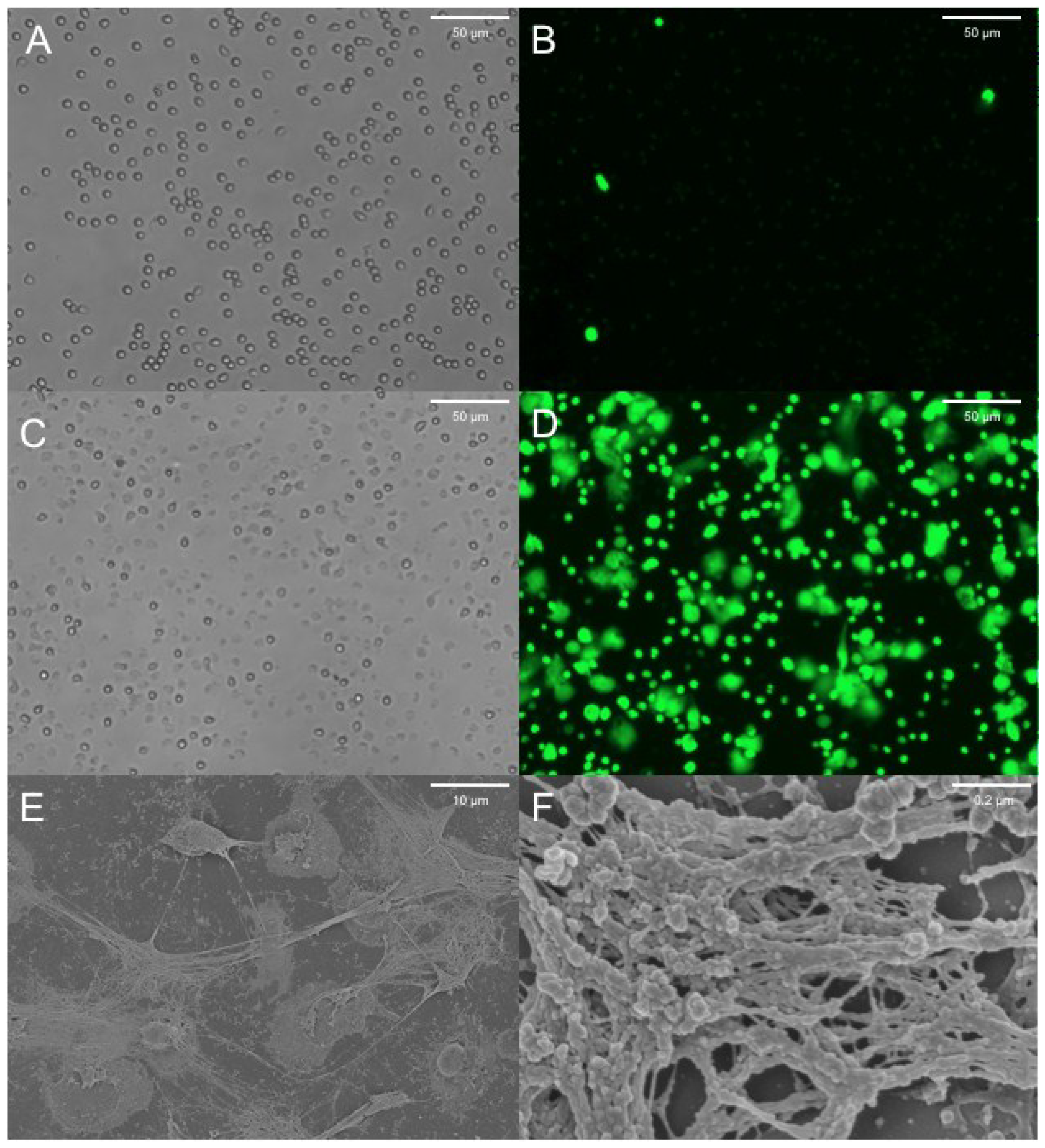 Antibiotics 04 00062 g002 1024