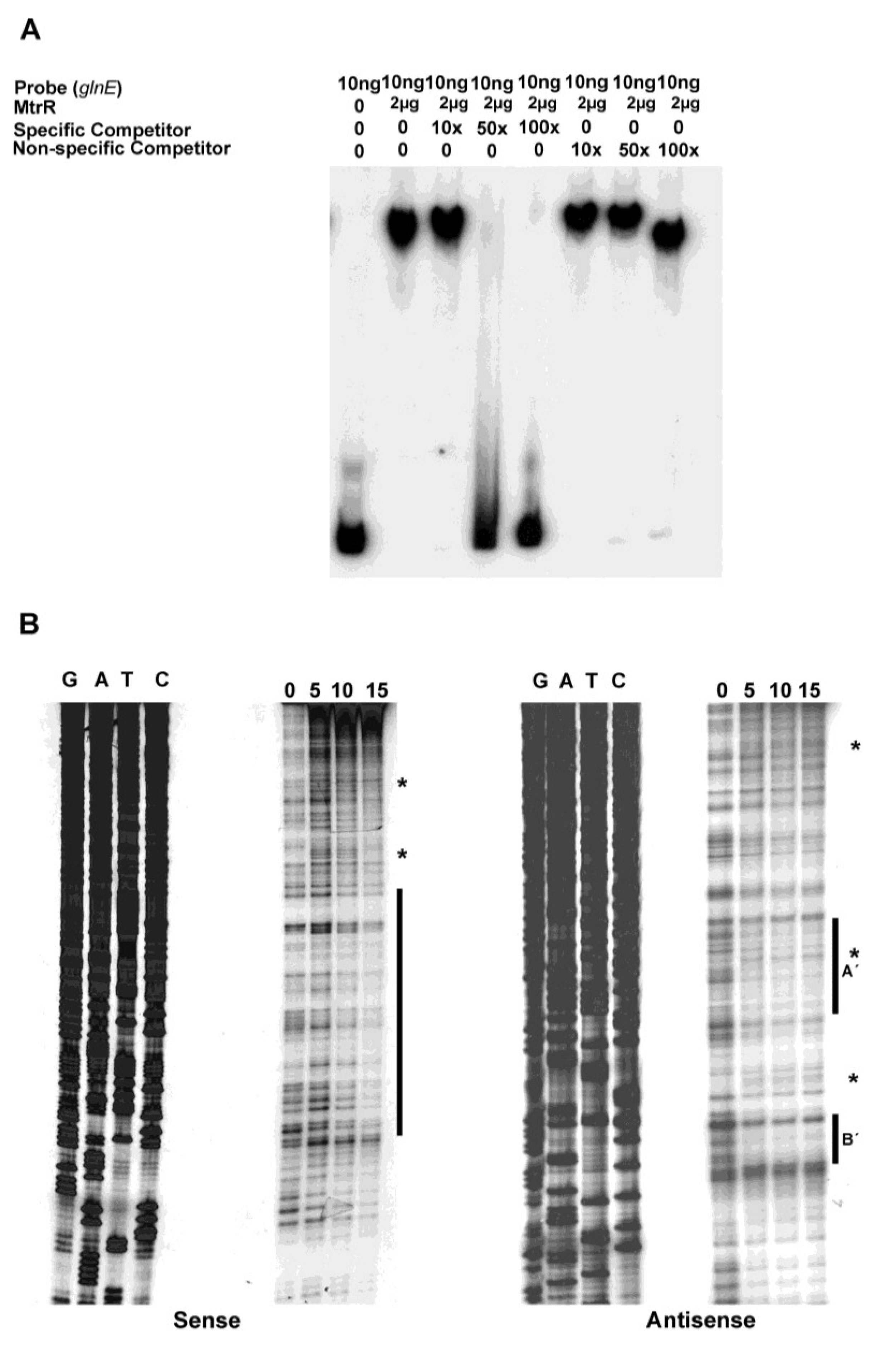 Antibiotics 04 00188 g003 1024