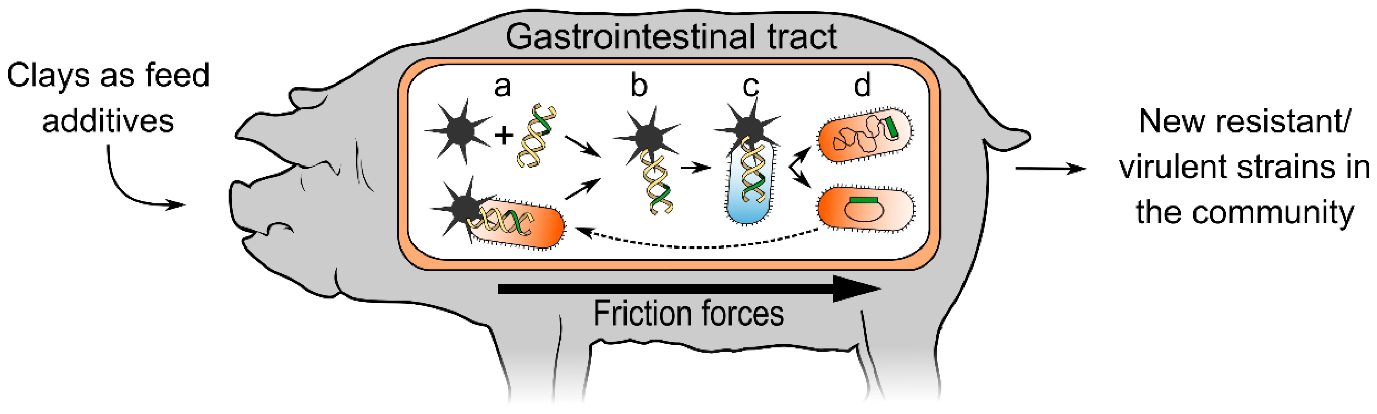 Antibiotics 04 00299 g001 1024