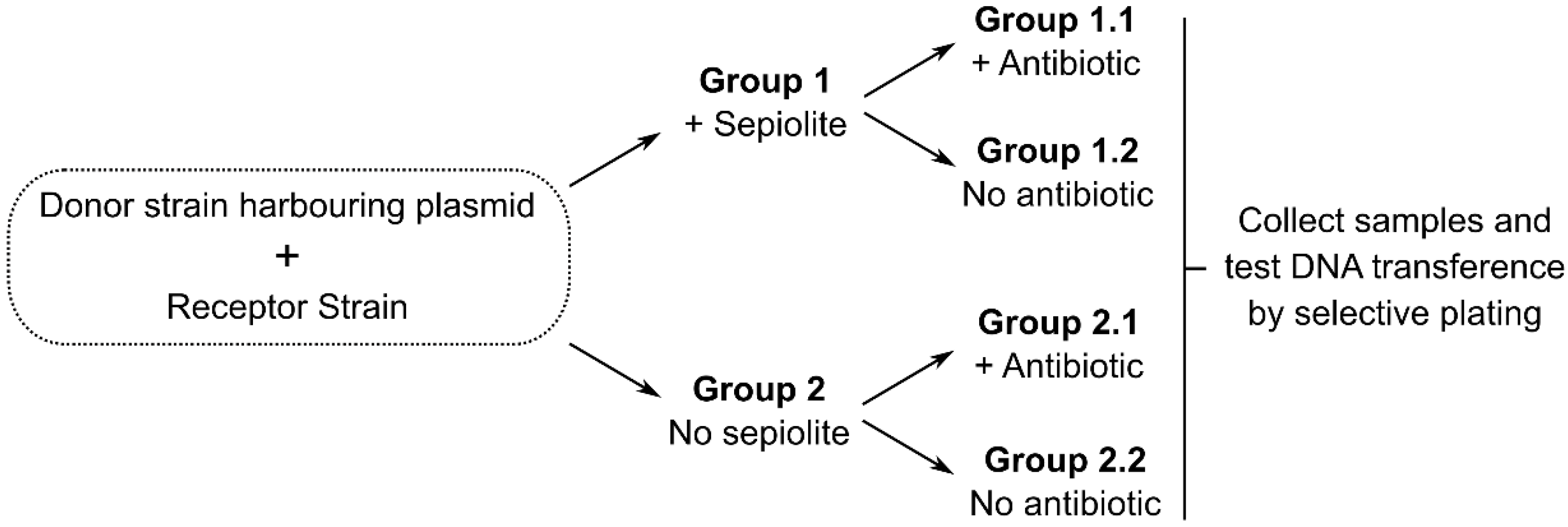 Antibiotics 04 00299 g002 1024