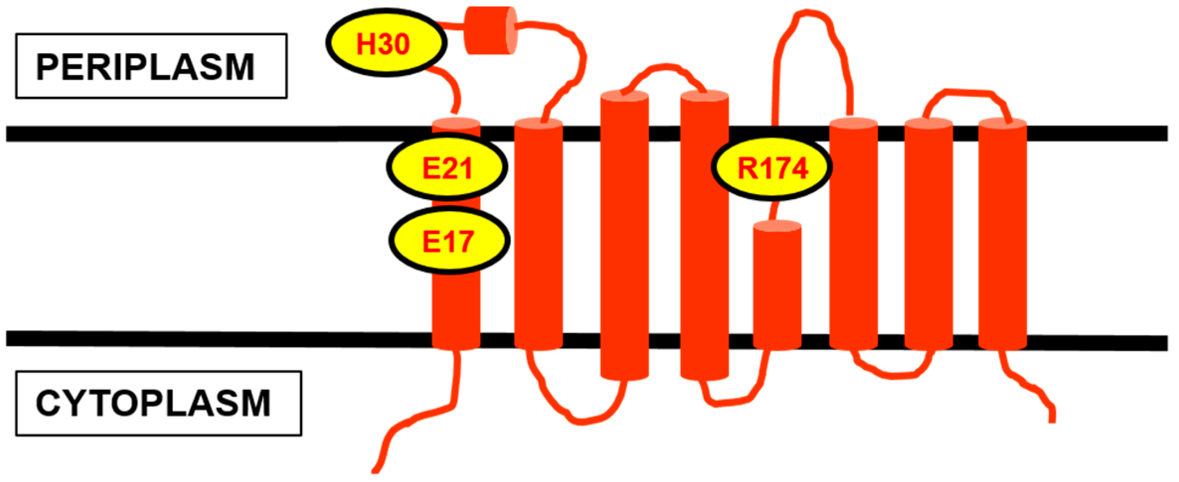 Antibiotics 04 00495 g005 1024