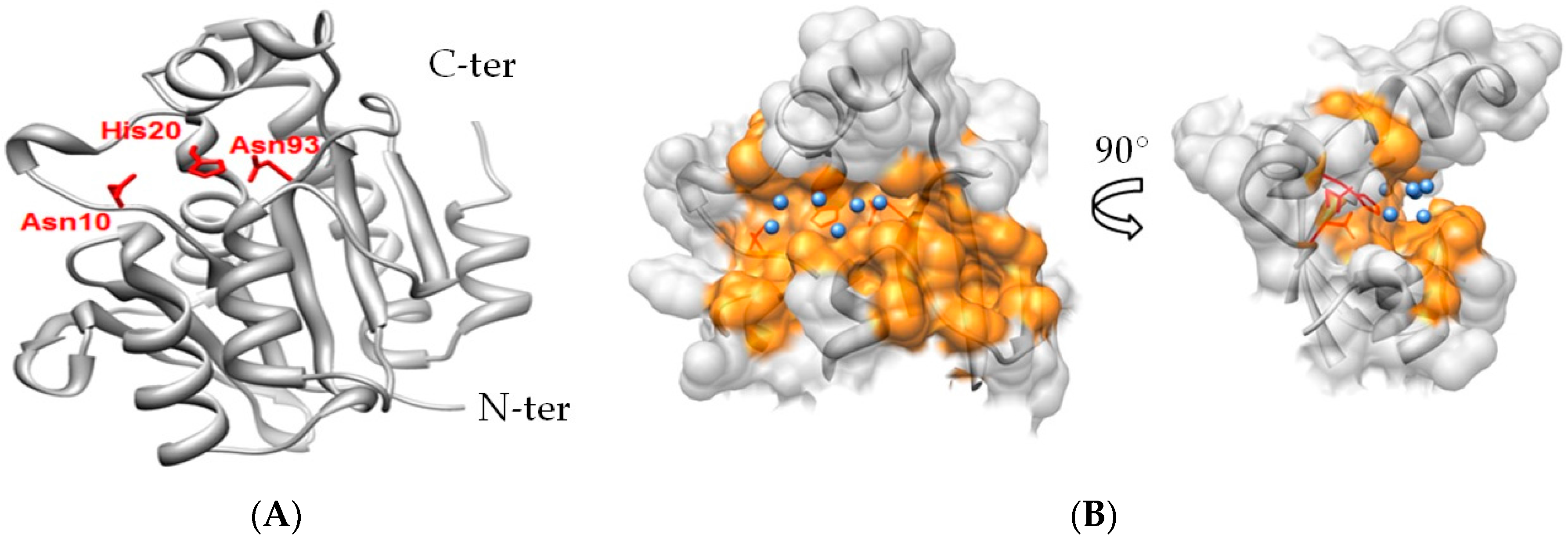 Antibiotics 05 00016 g001