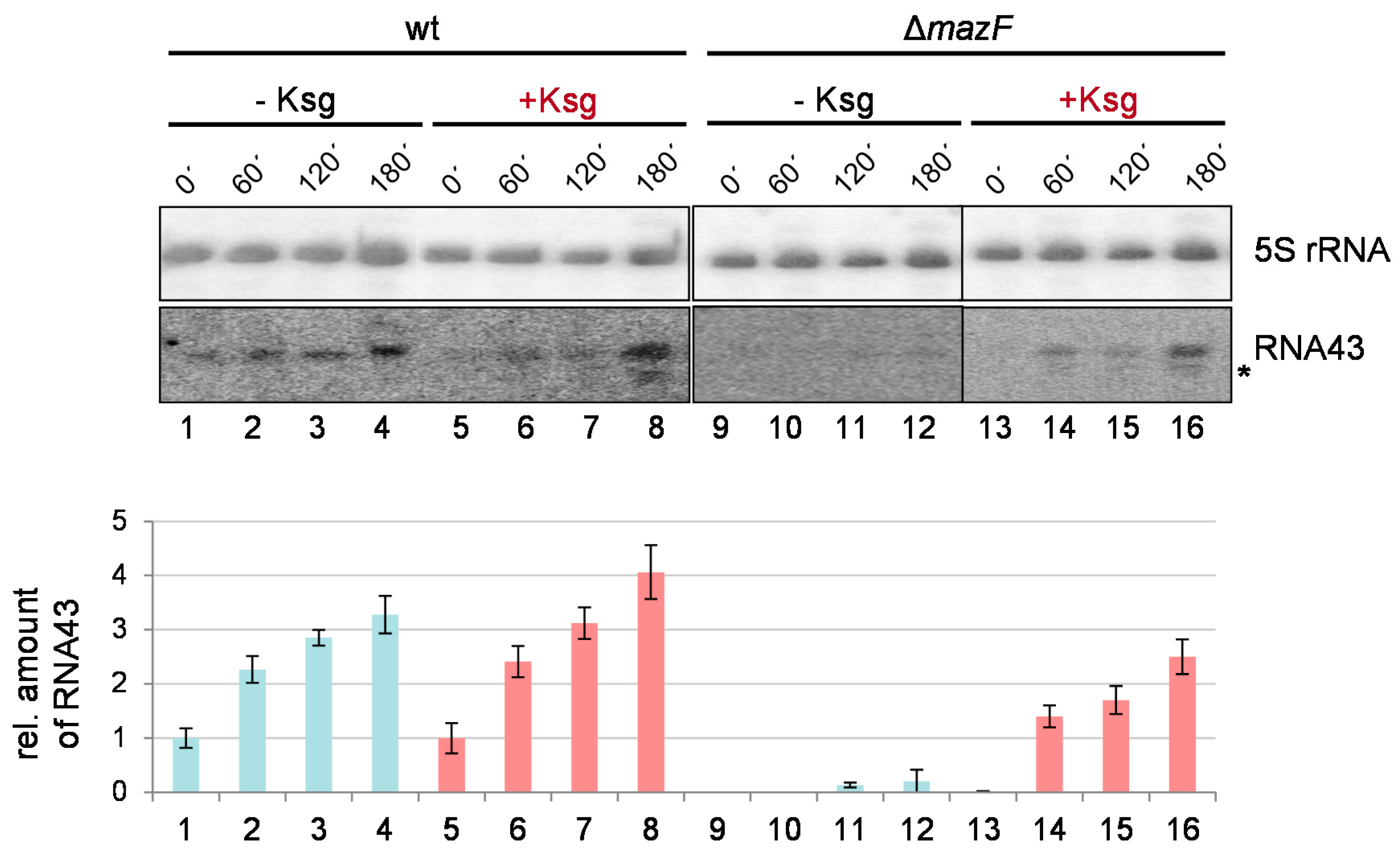 Antibiotics 05 00019 g005 1024