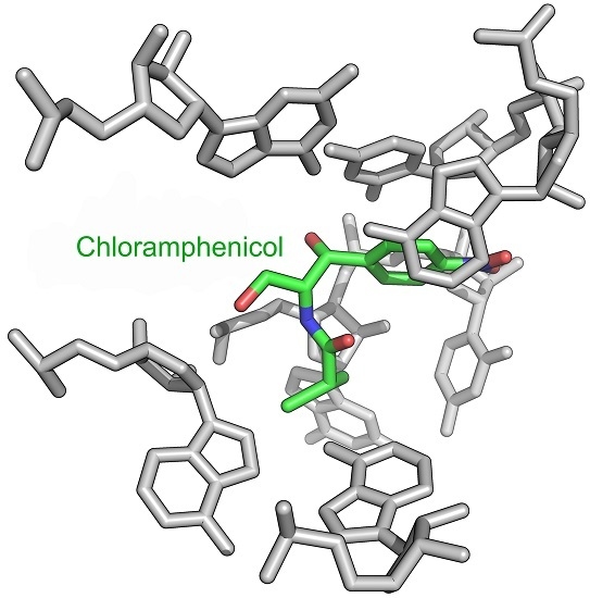 Cheap chloromycetin antibiotic