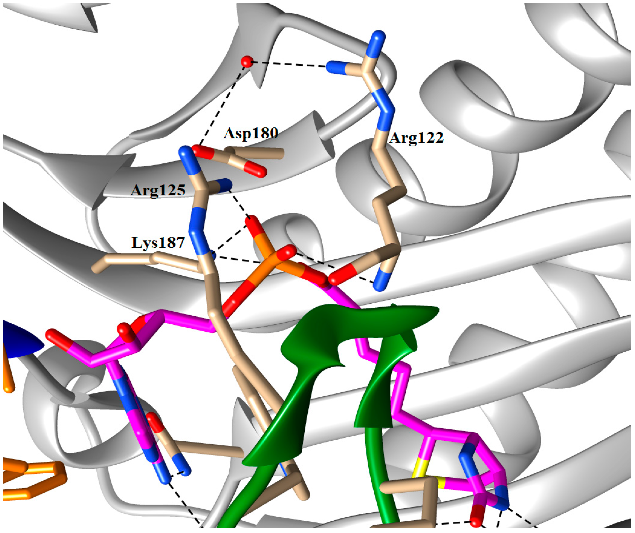 Antibiotics 05 00026 g004 1024
