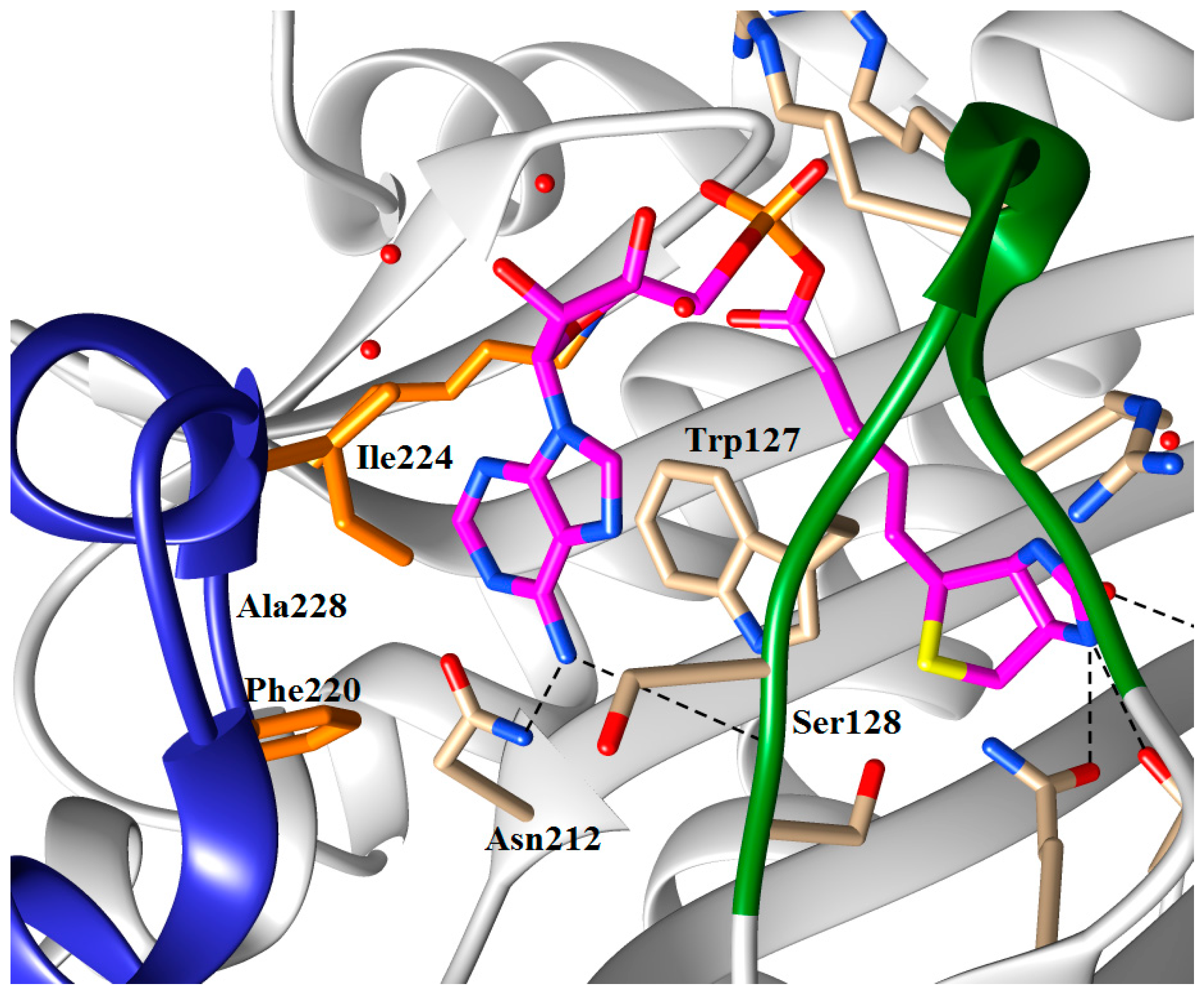 Antibiotics 05 00026 g005 1024