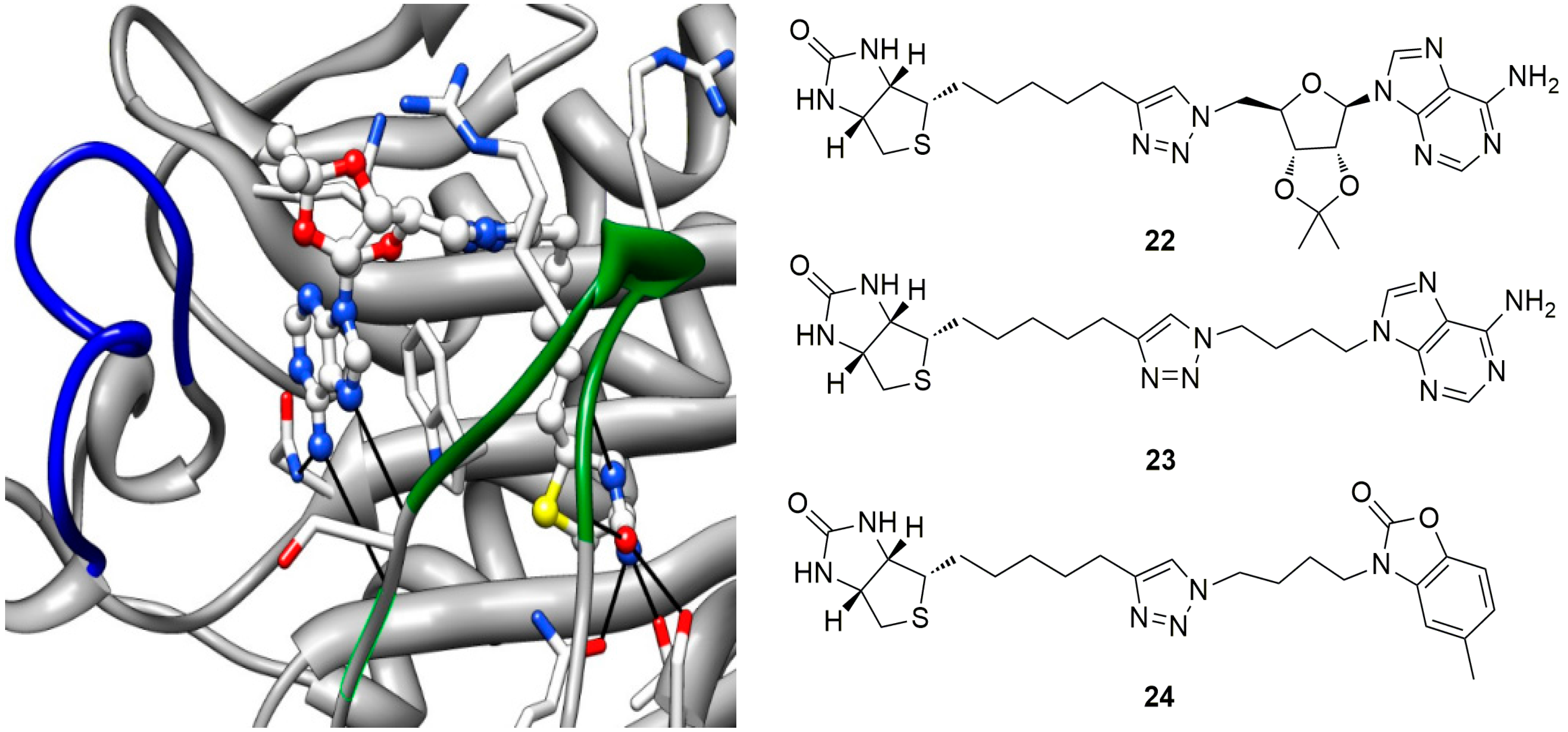 Antibiotics 05 00026 g009 1024
