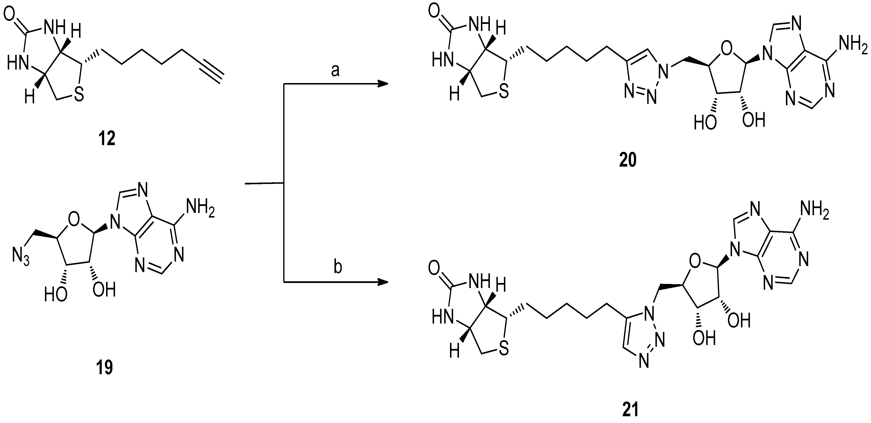 Antibiotics 05 00026 sch002 1024