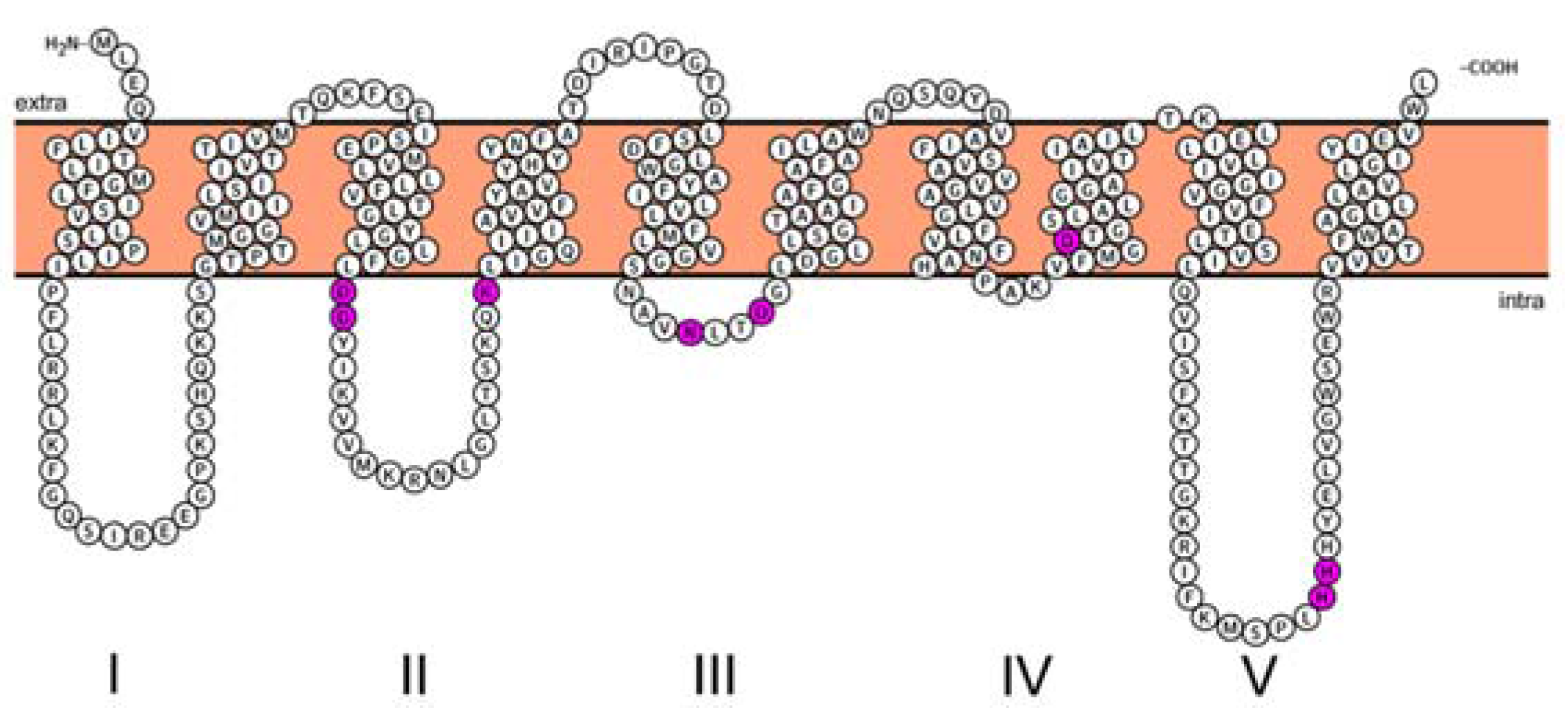 Antibiotics 05 00028 g002