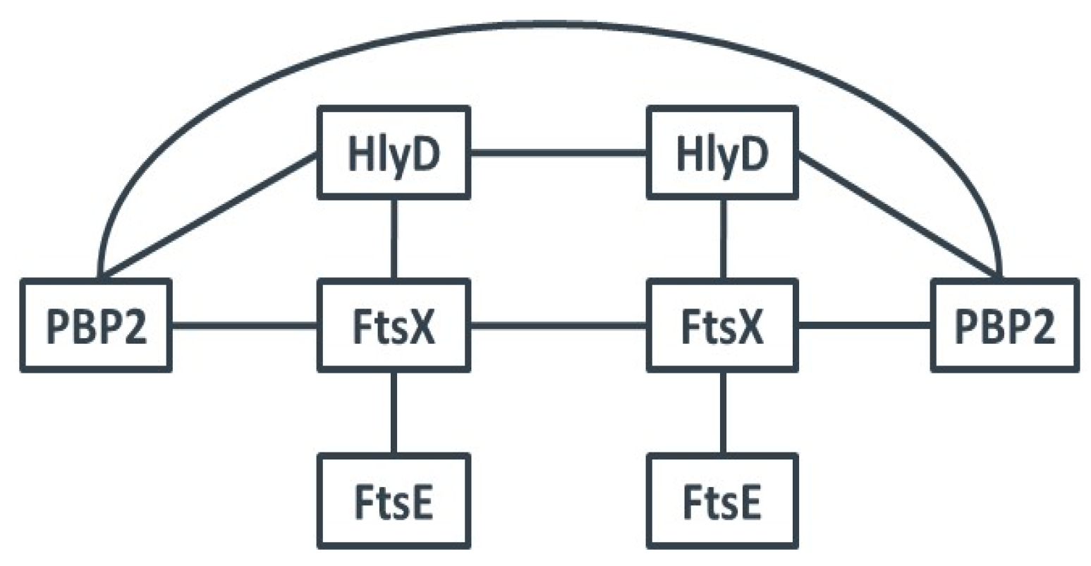 Antibiotics 05 00033 g002
