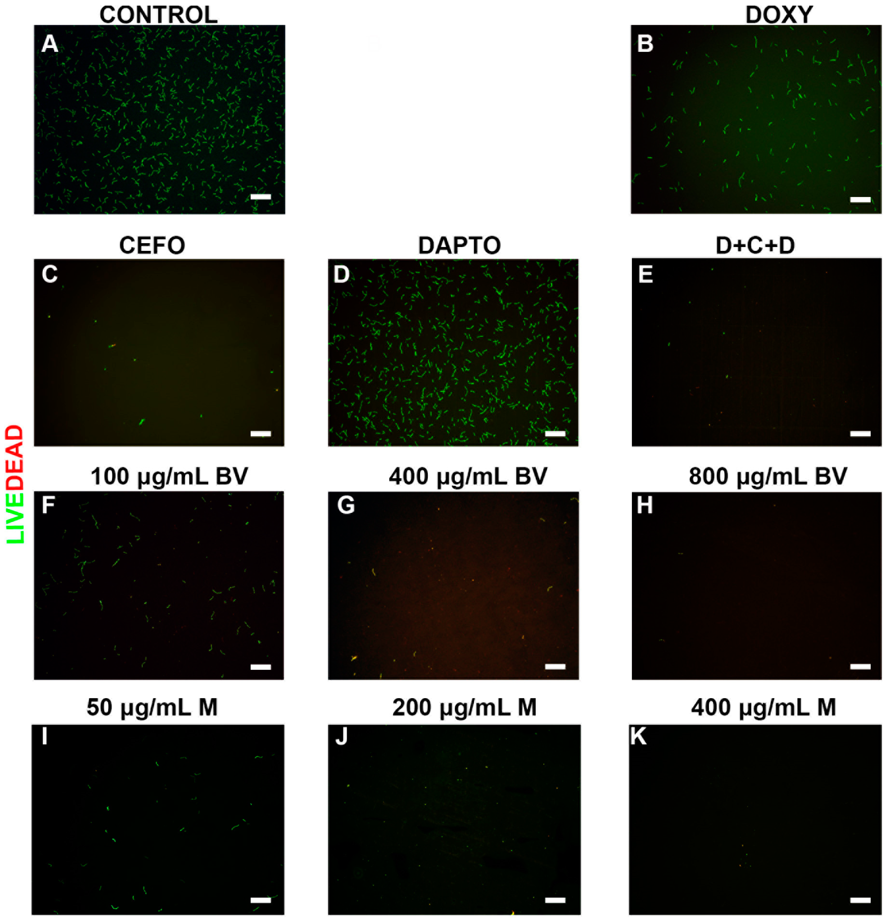 Antibiotics 06 00031 g002