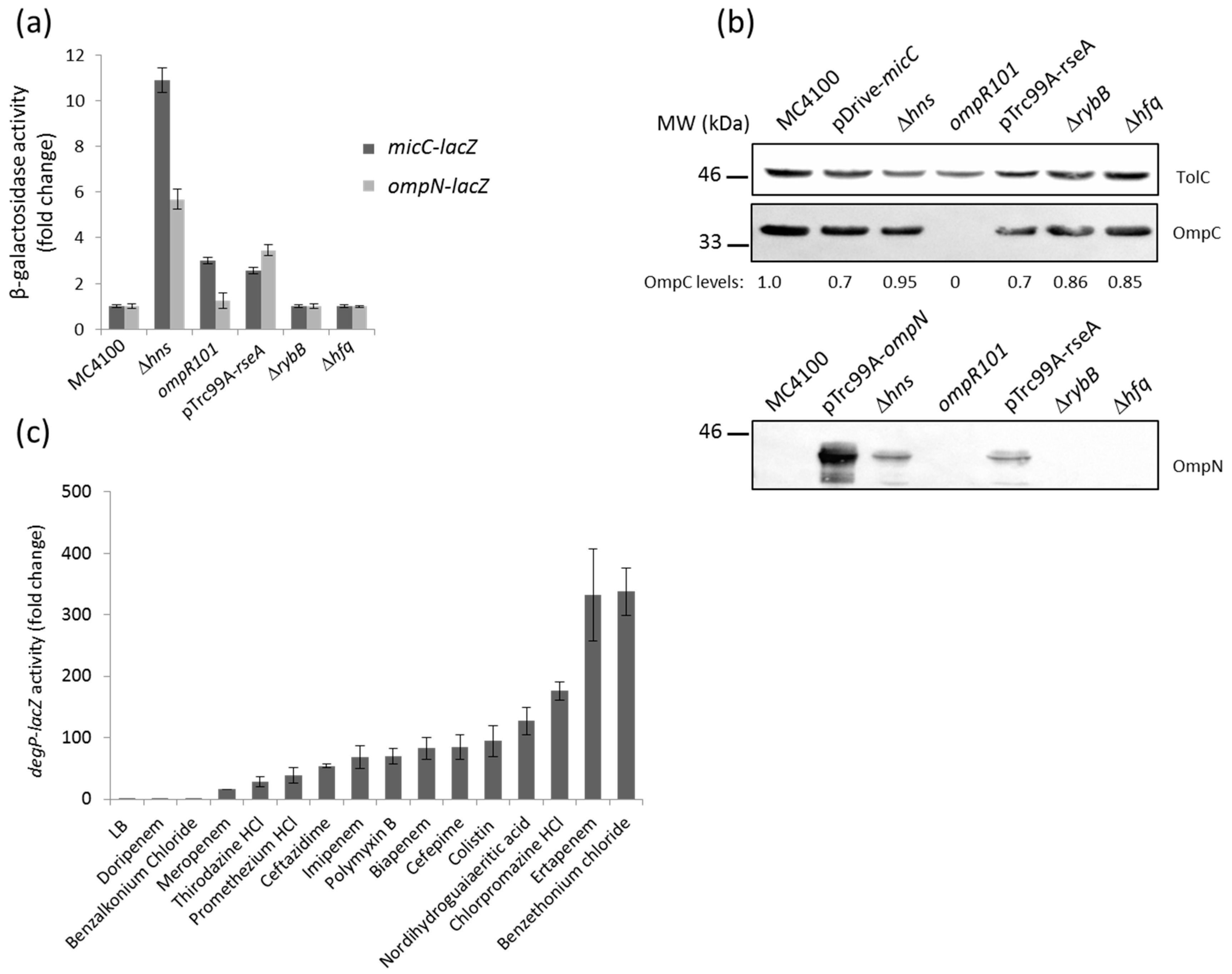Antibiotics 06 00033 g003