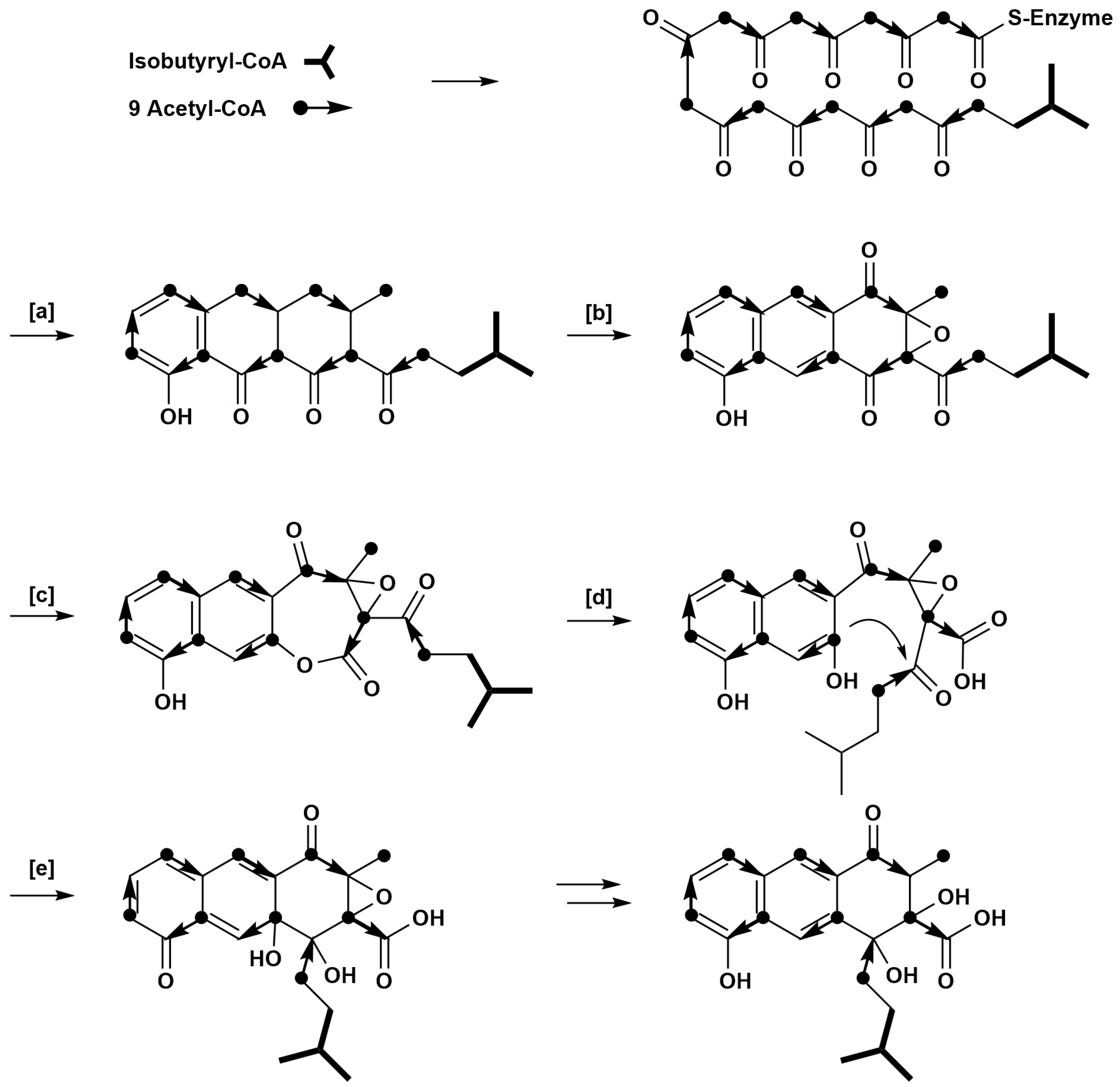 Antibiotics 07 00020 g003