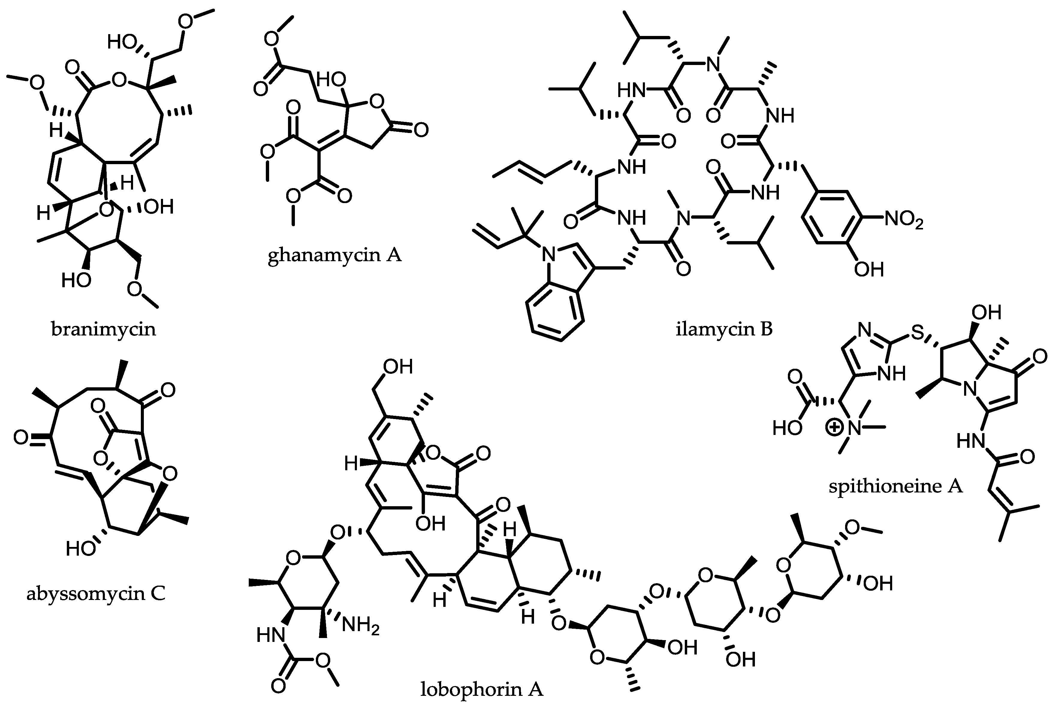 Antibiotics 07 00044 g003