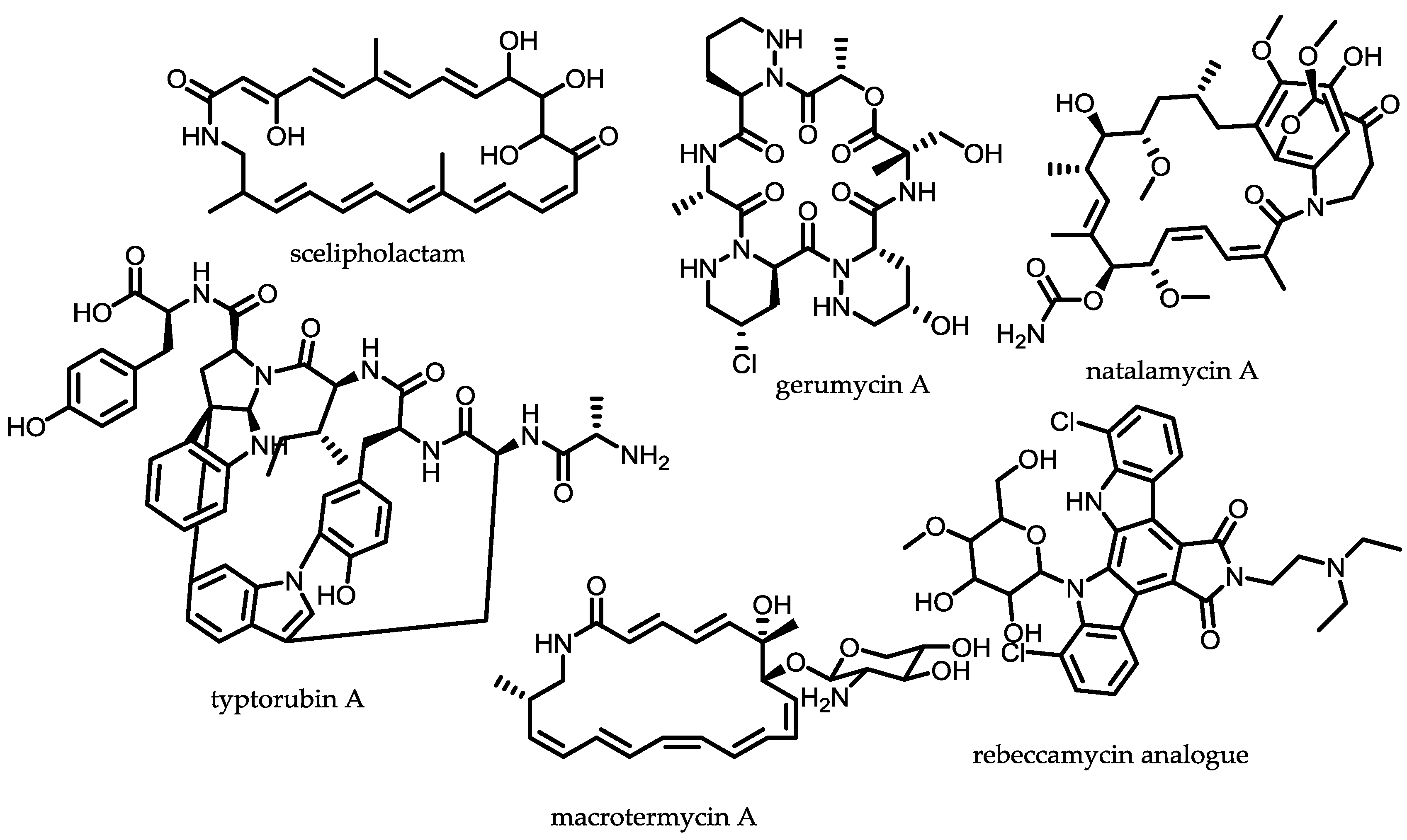 Antibiotics 07 00044 g004
