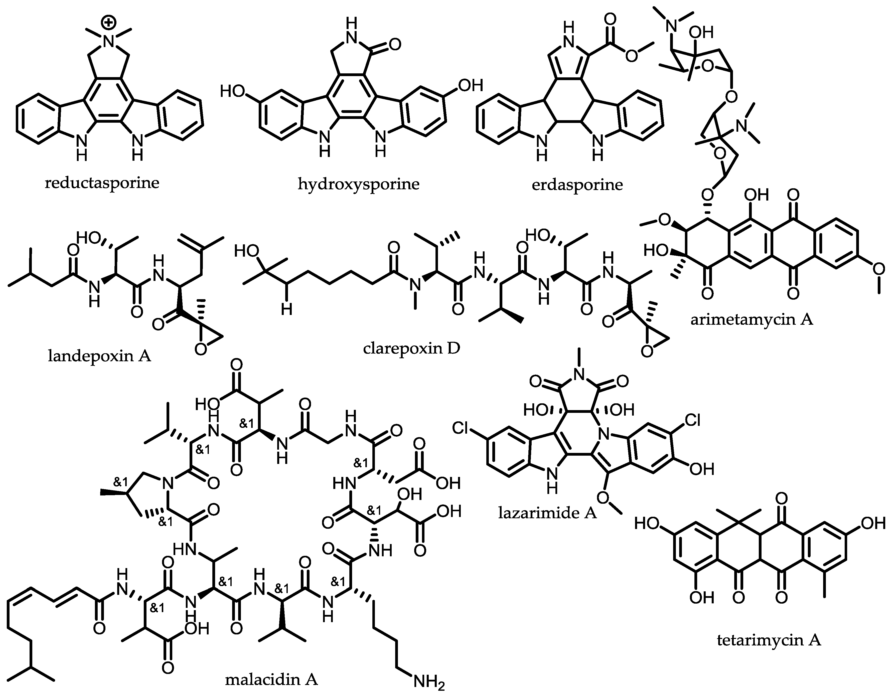 Antibiotics 07 00044 g007