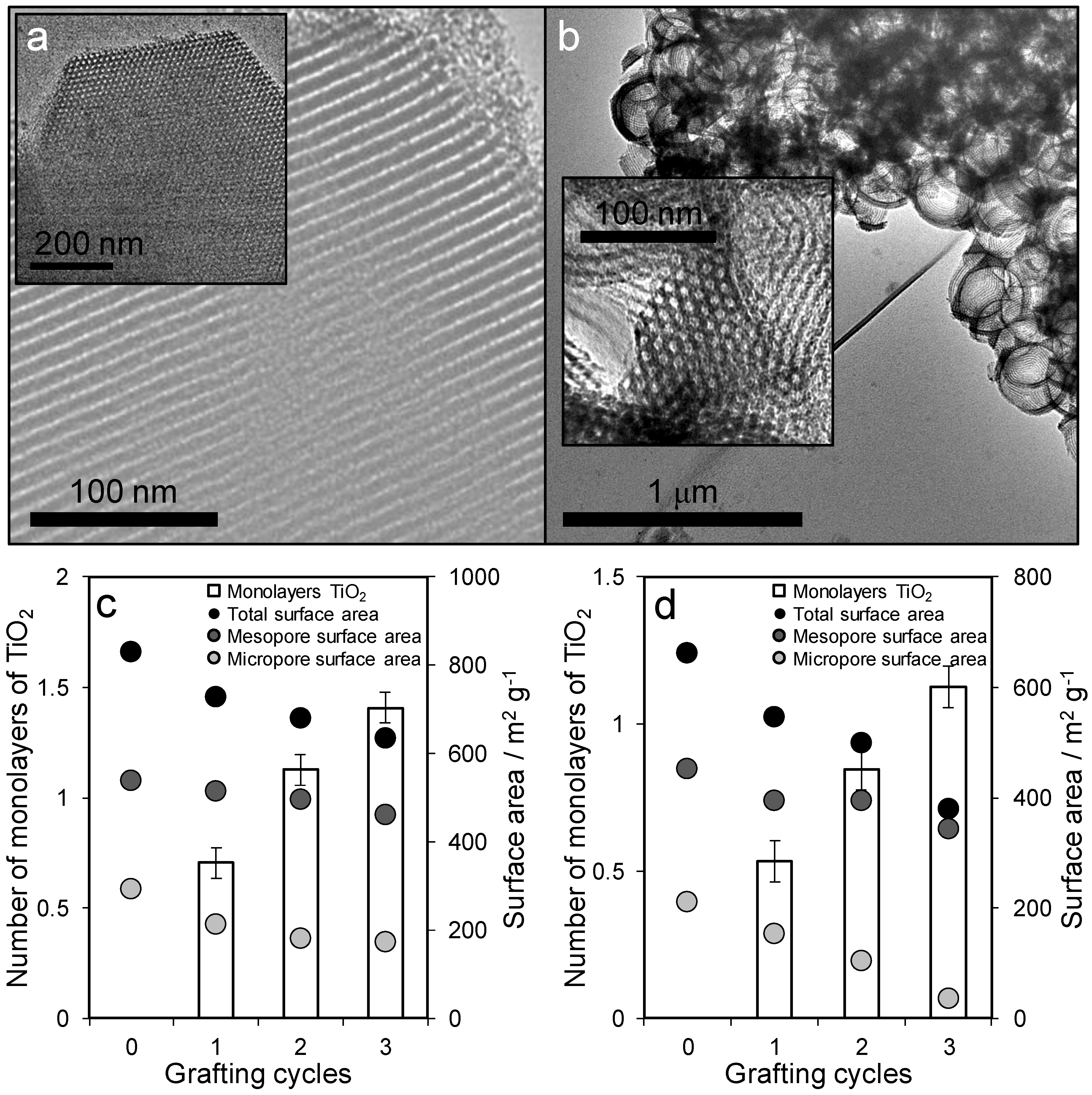 Antibiotics 07 00055 g002 Antibiotics 07 00055 g002
