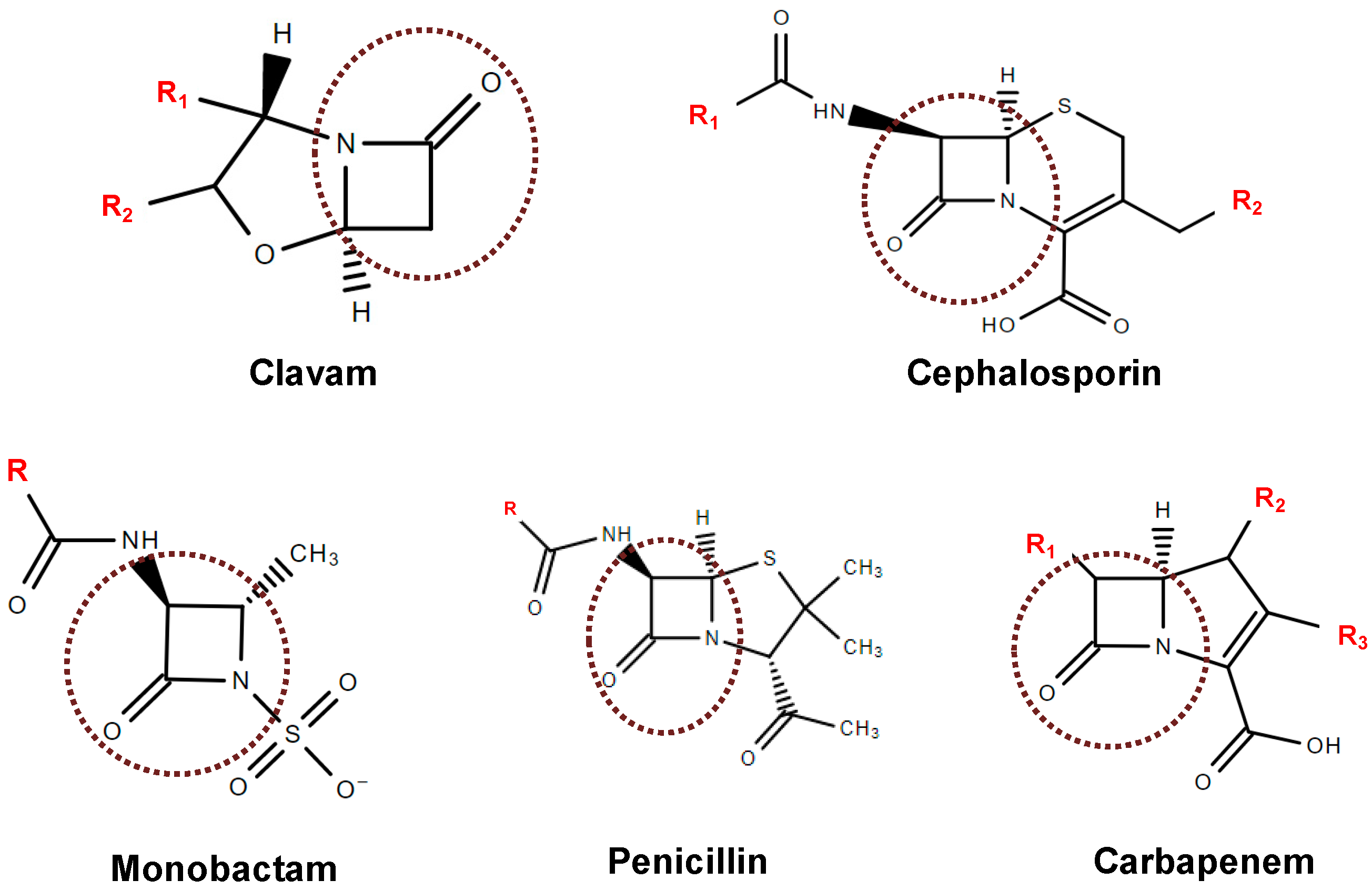 Antibiotics 07 00061 g001