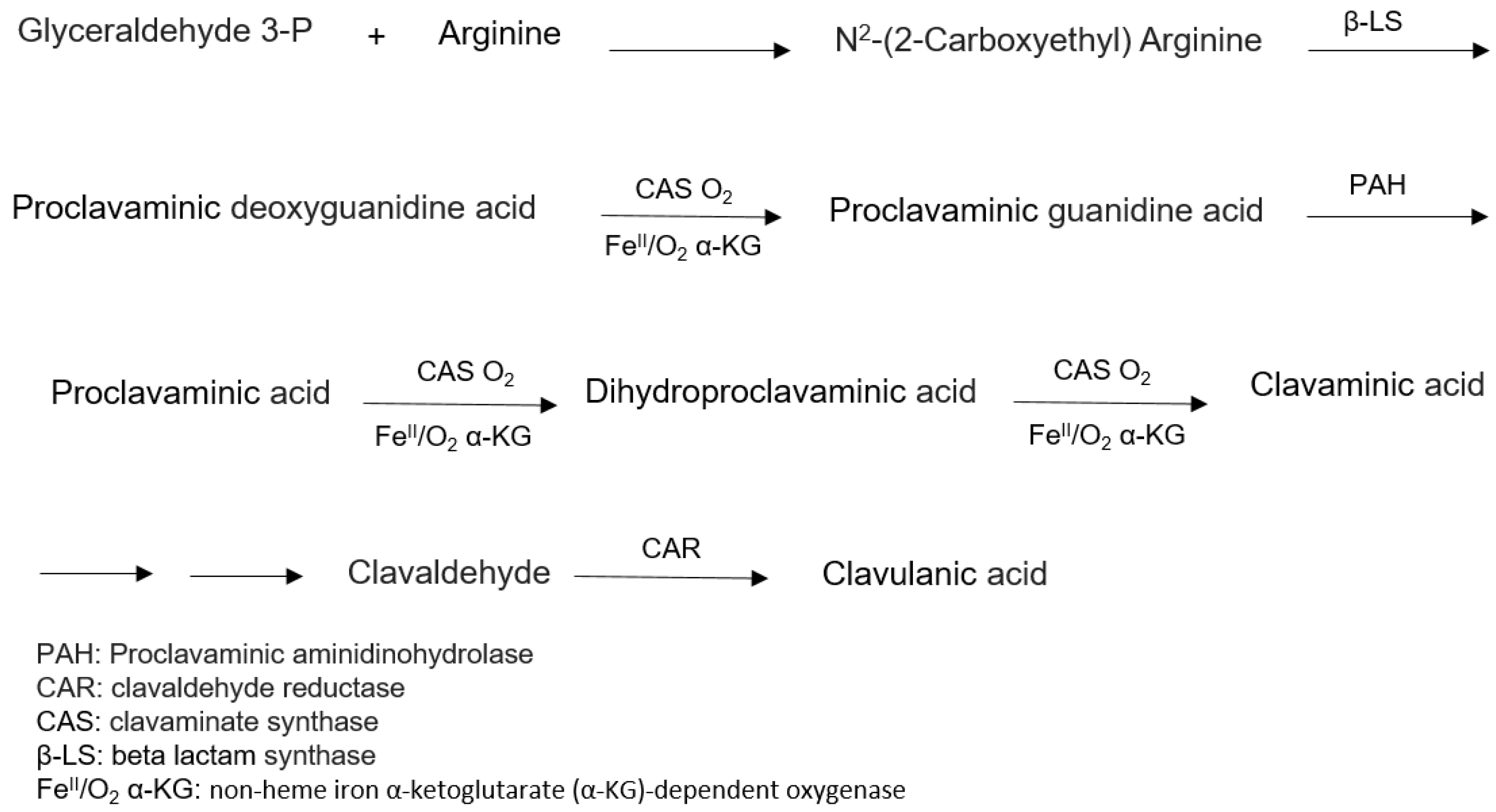 Antibiotics 07 00061 g004