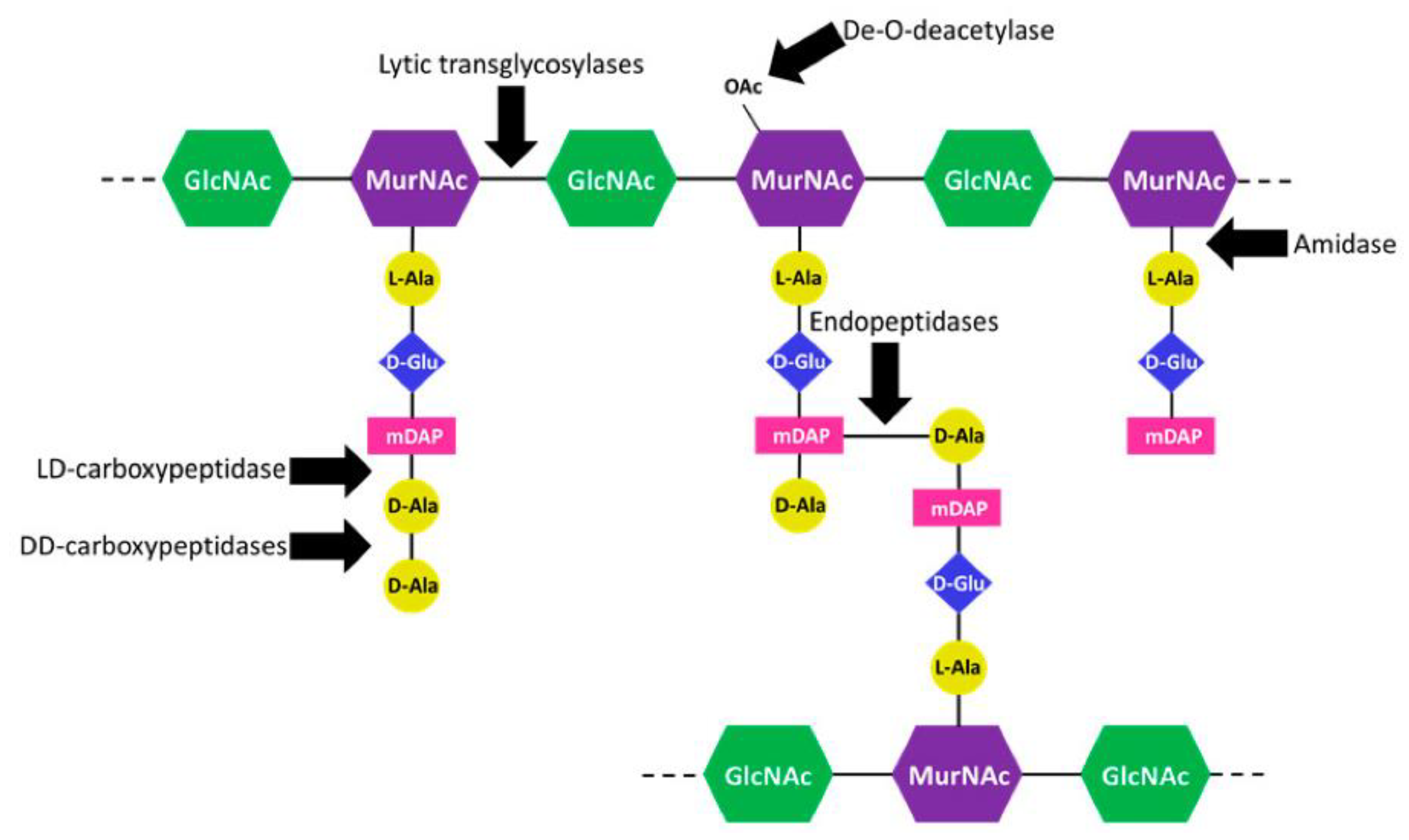 Antibiotics 07 00064 g001