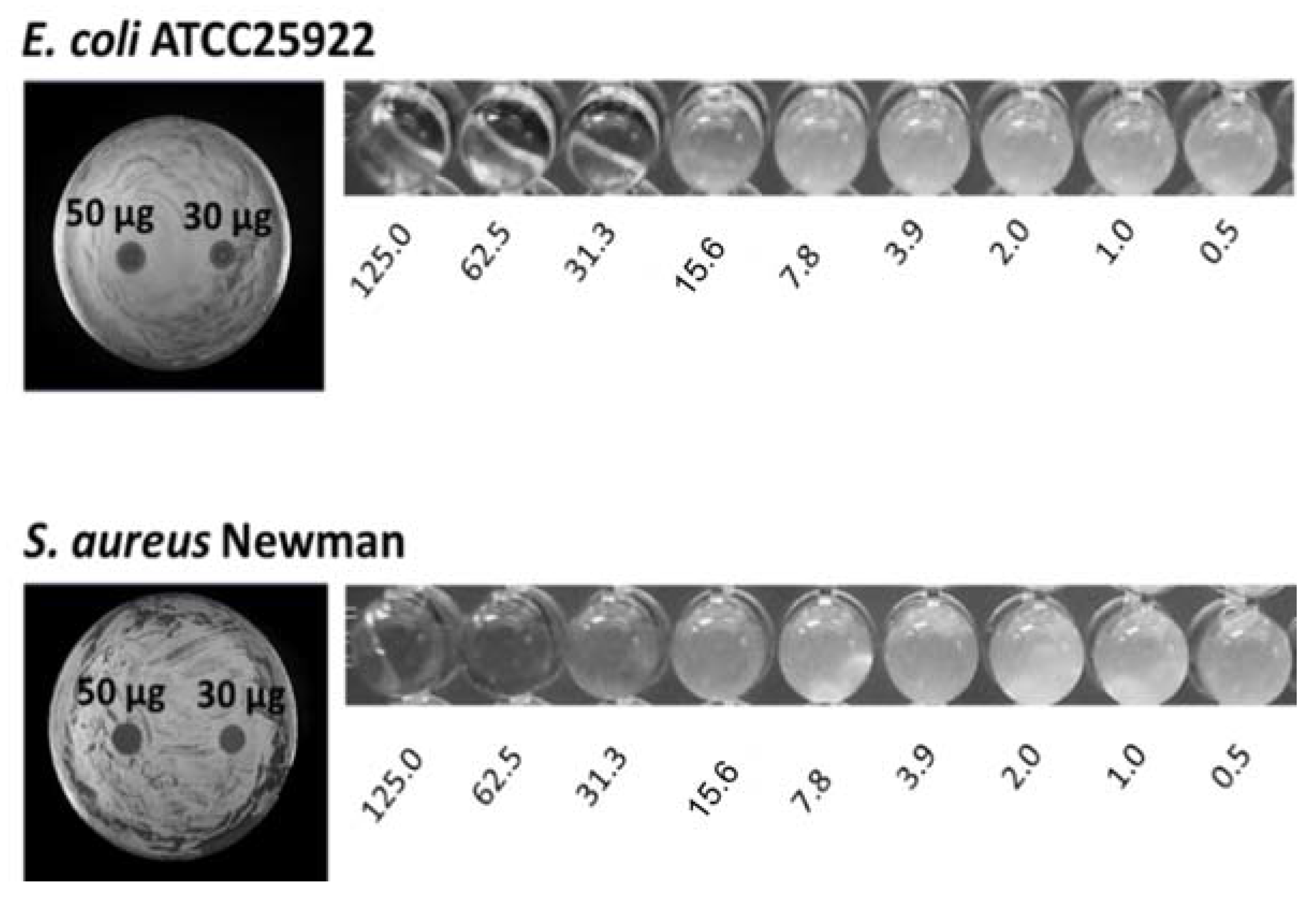 Antibiotics 07 00065 g006 Antibiotics 07 00065 g006