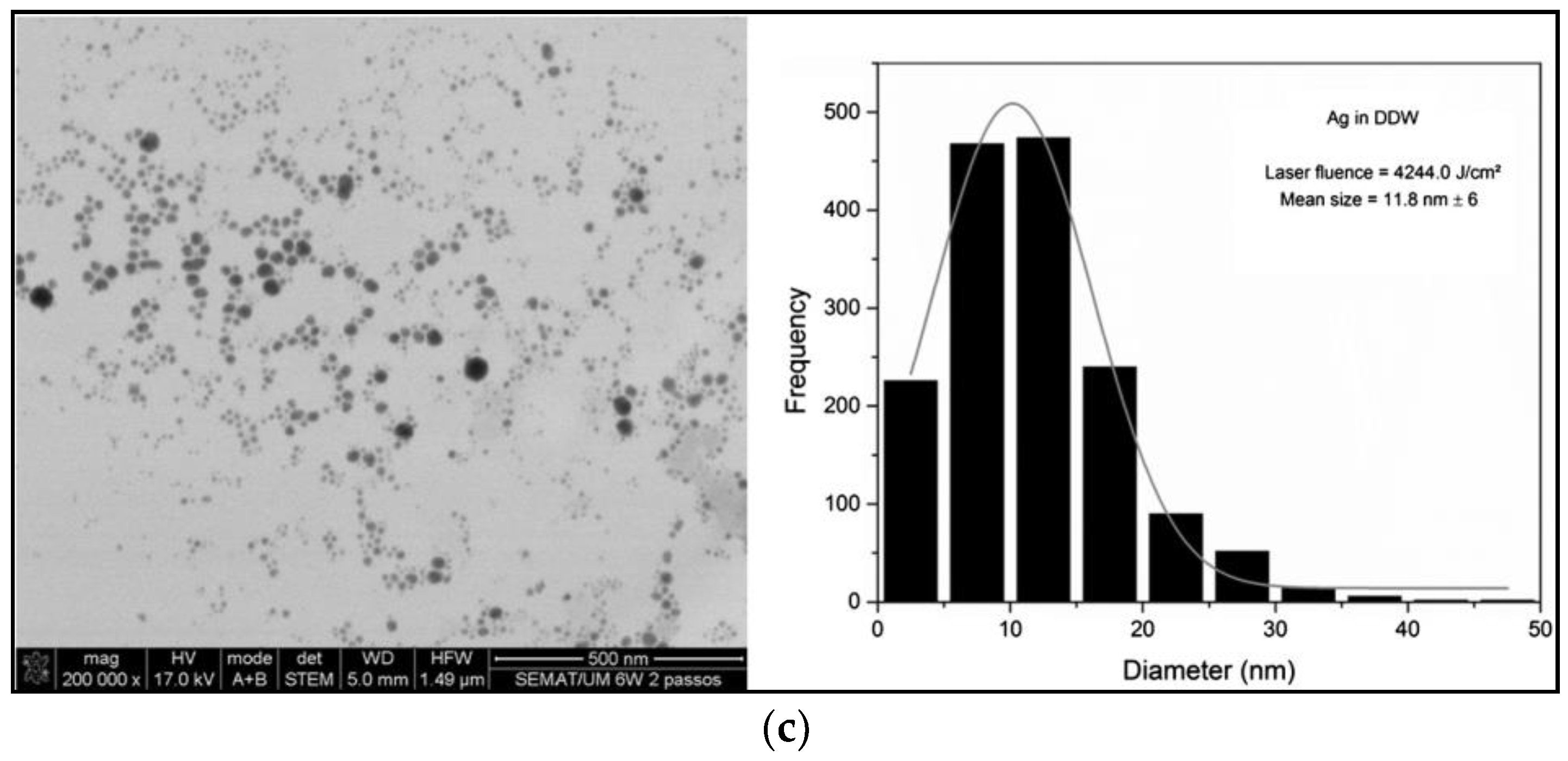 Antibiotics 07 00067 g011b Antibiotics 07 00067 g011b