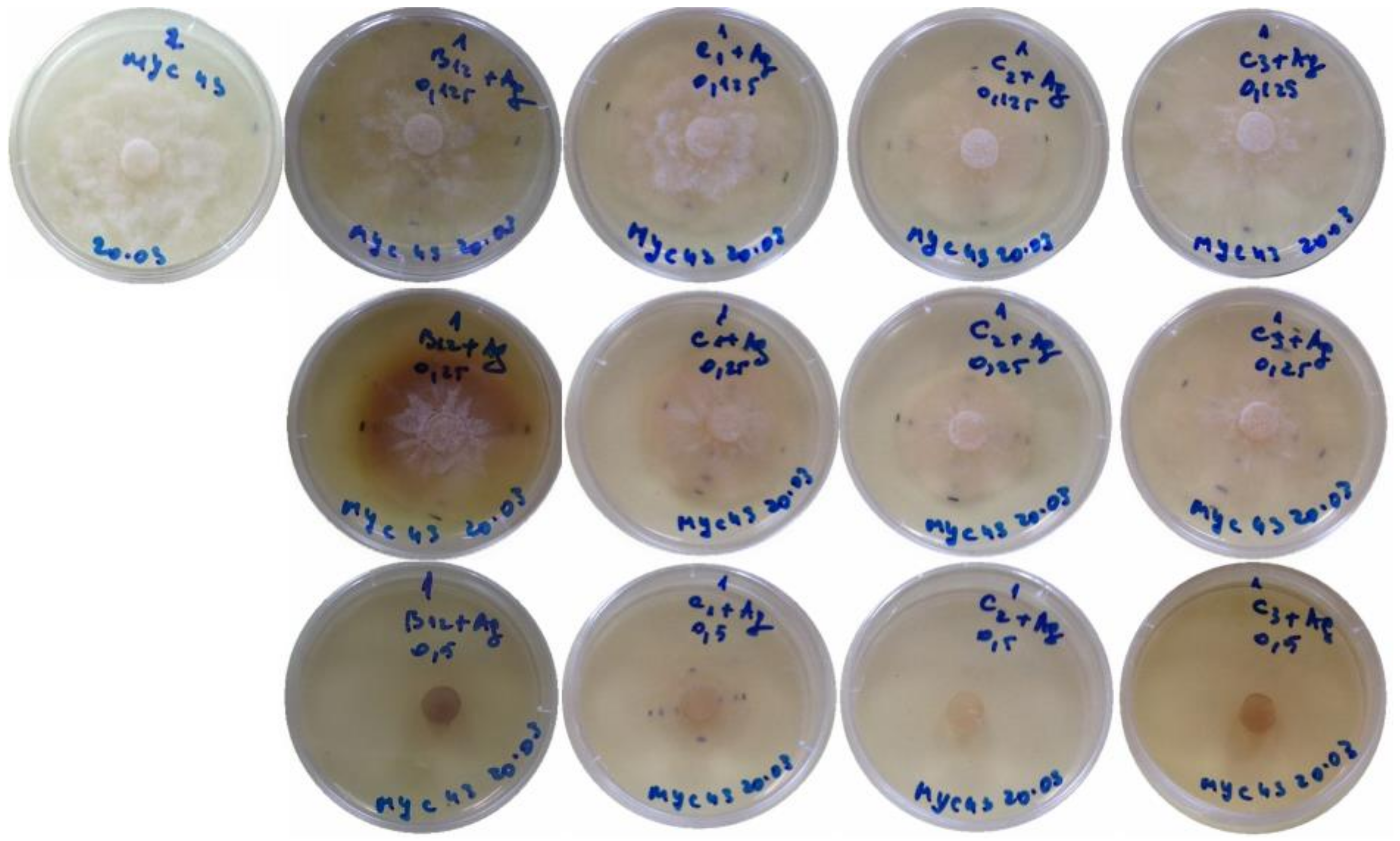 Antibiotics 07 00076 g001 Antibiotics 07 00076 g001
