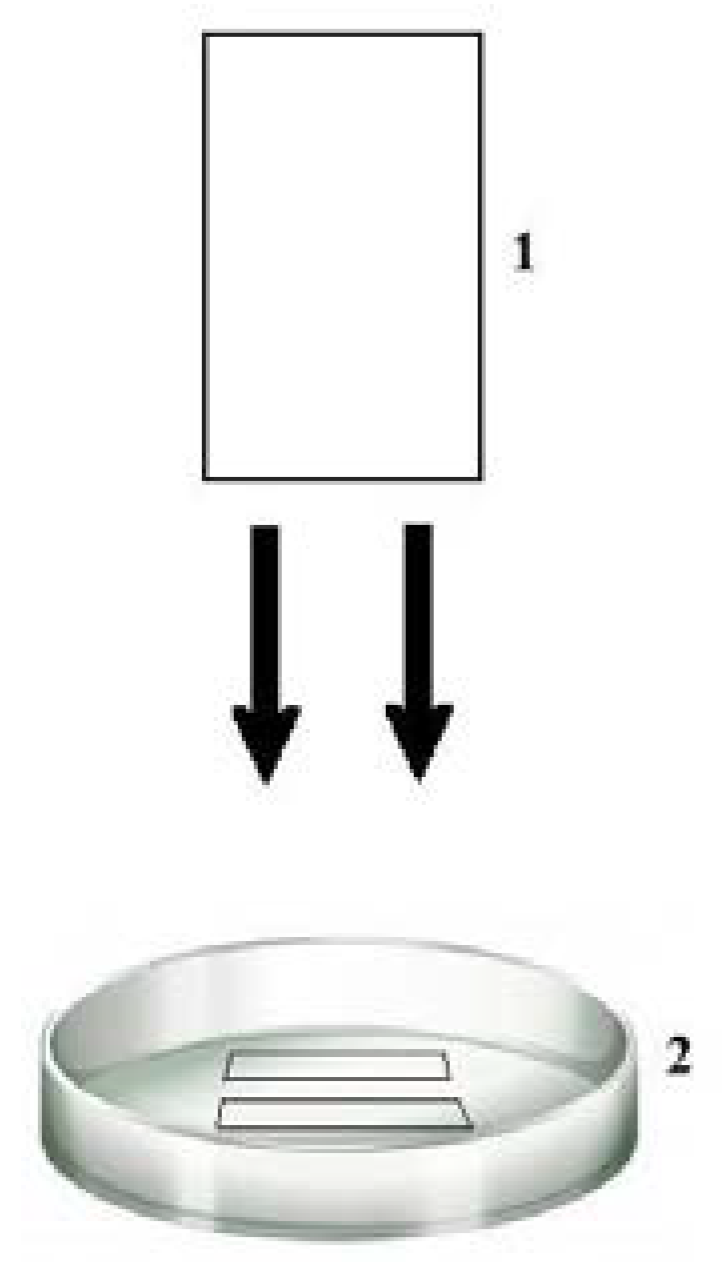 Antibiotics 07 00080 g013 550