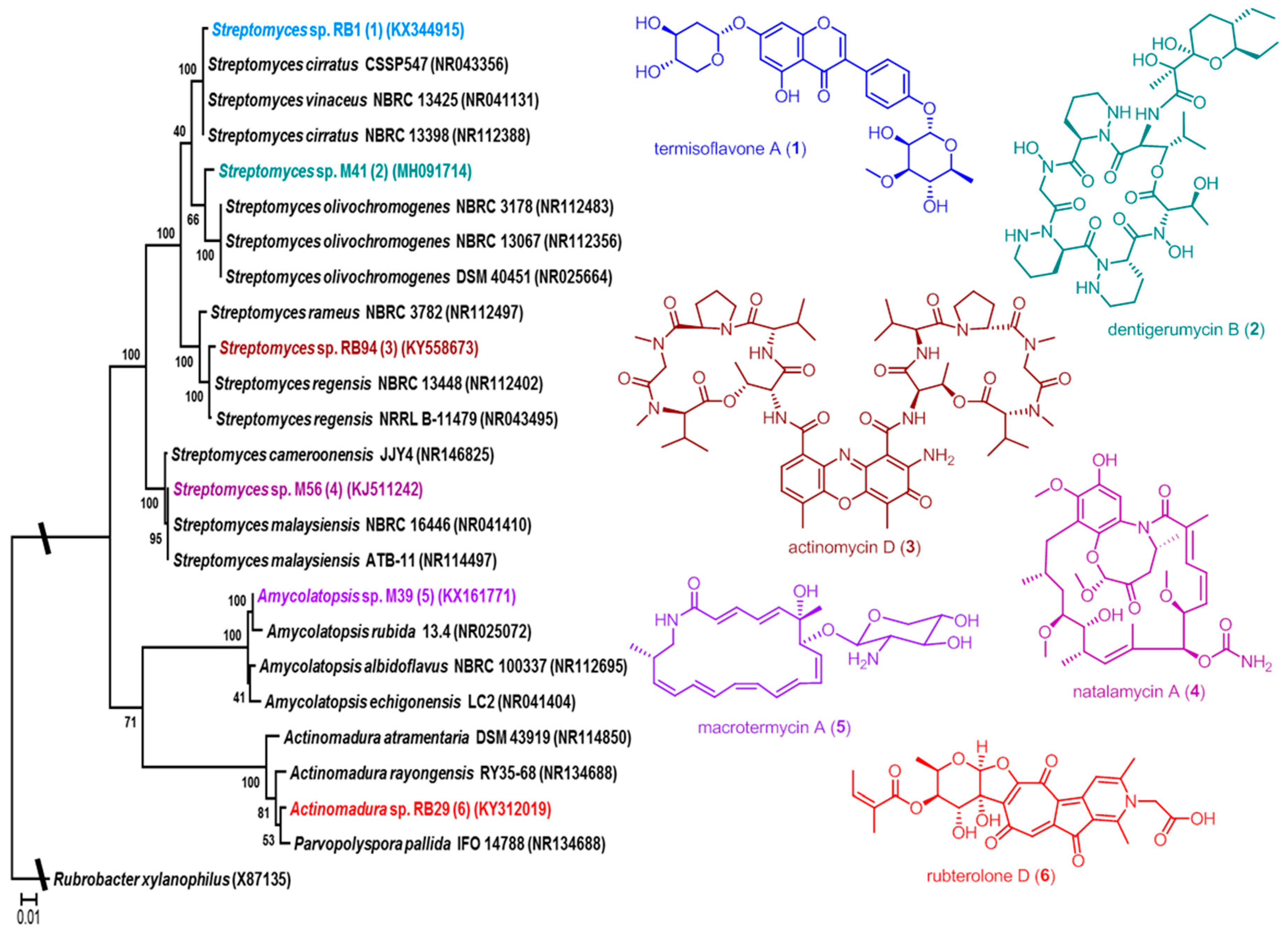 Antibiotics 07 00083 g001