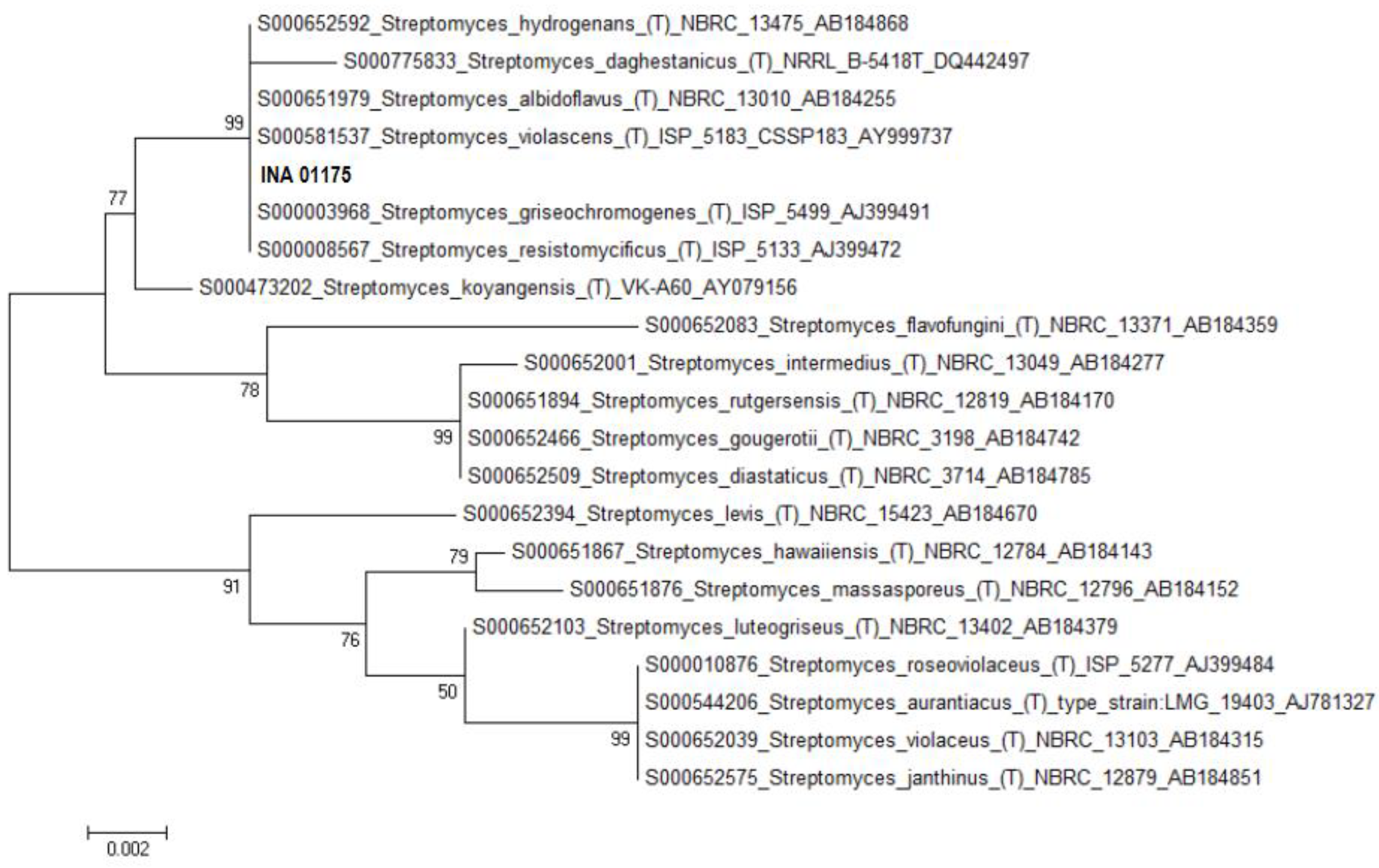 Antibiotics 07 00094 g003