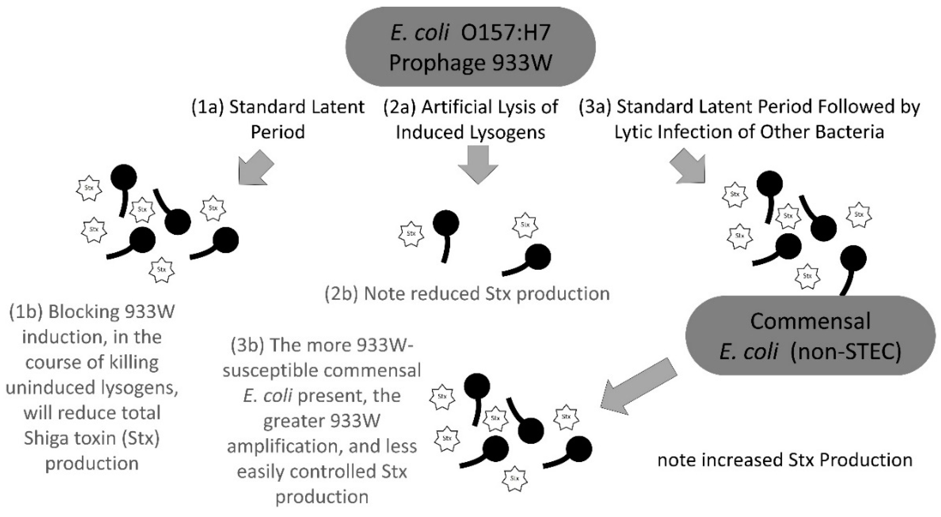 Antibiotics 07 00101 g004 Antibiotics 07 00101 g004