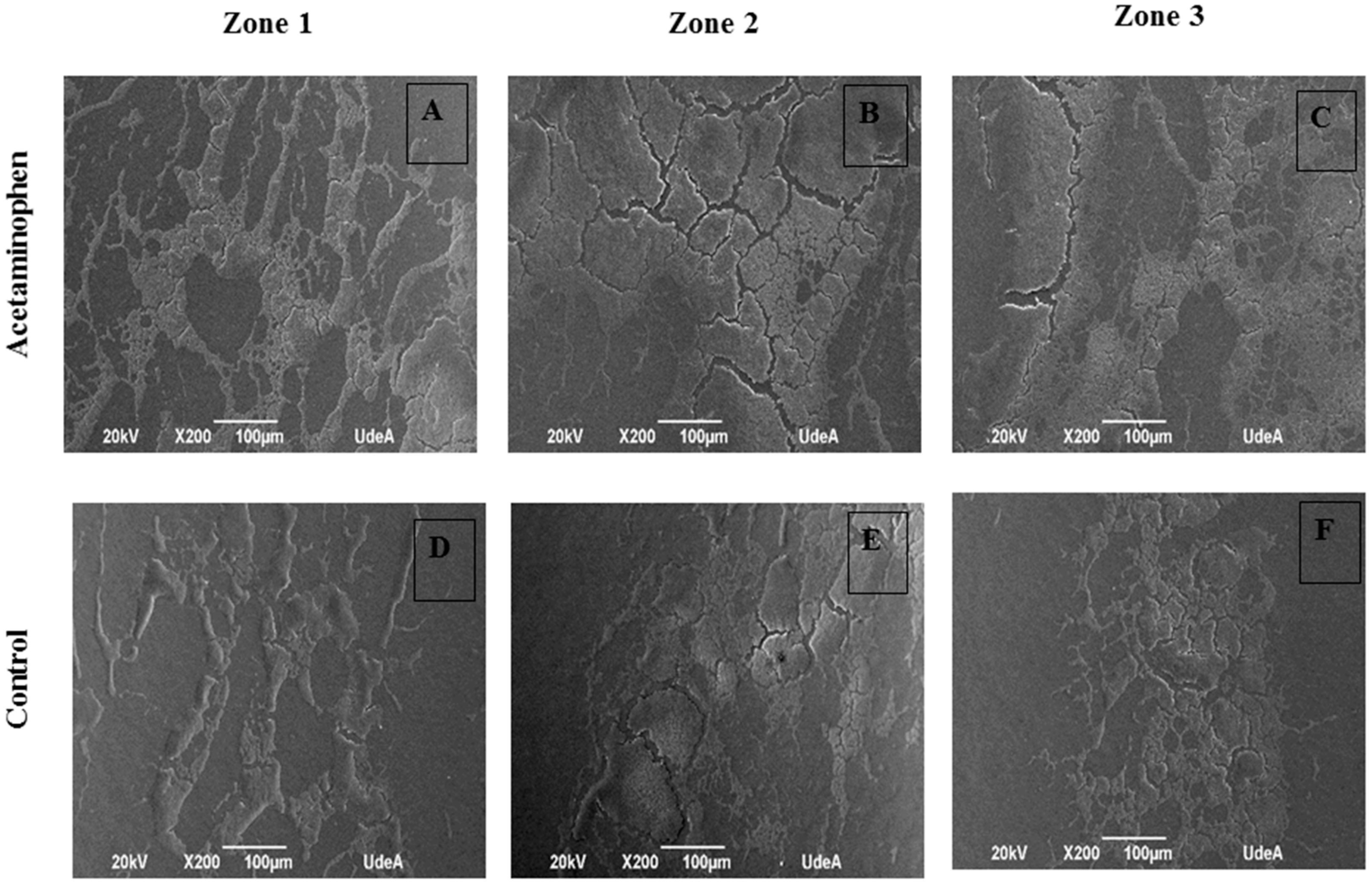 Antibiotics 07 00103 g007 Antibiotics 07 00103 g007