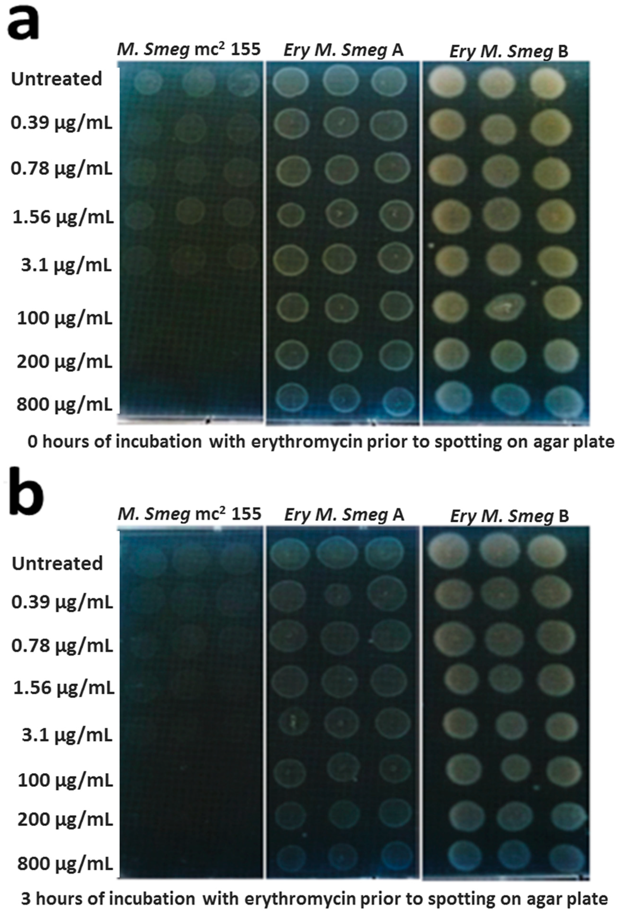 Antibiotics 08 00004 g003a