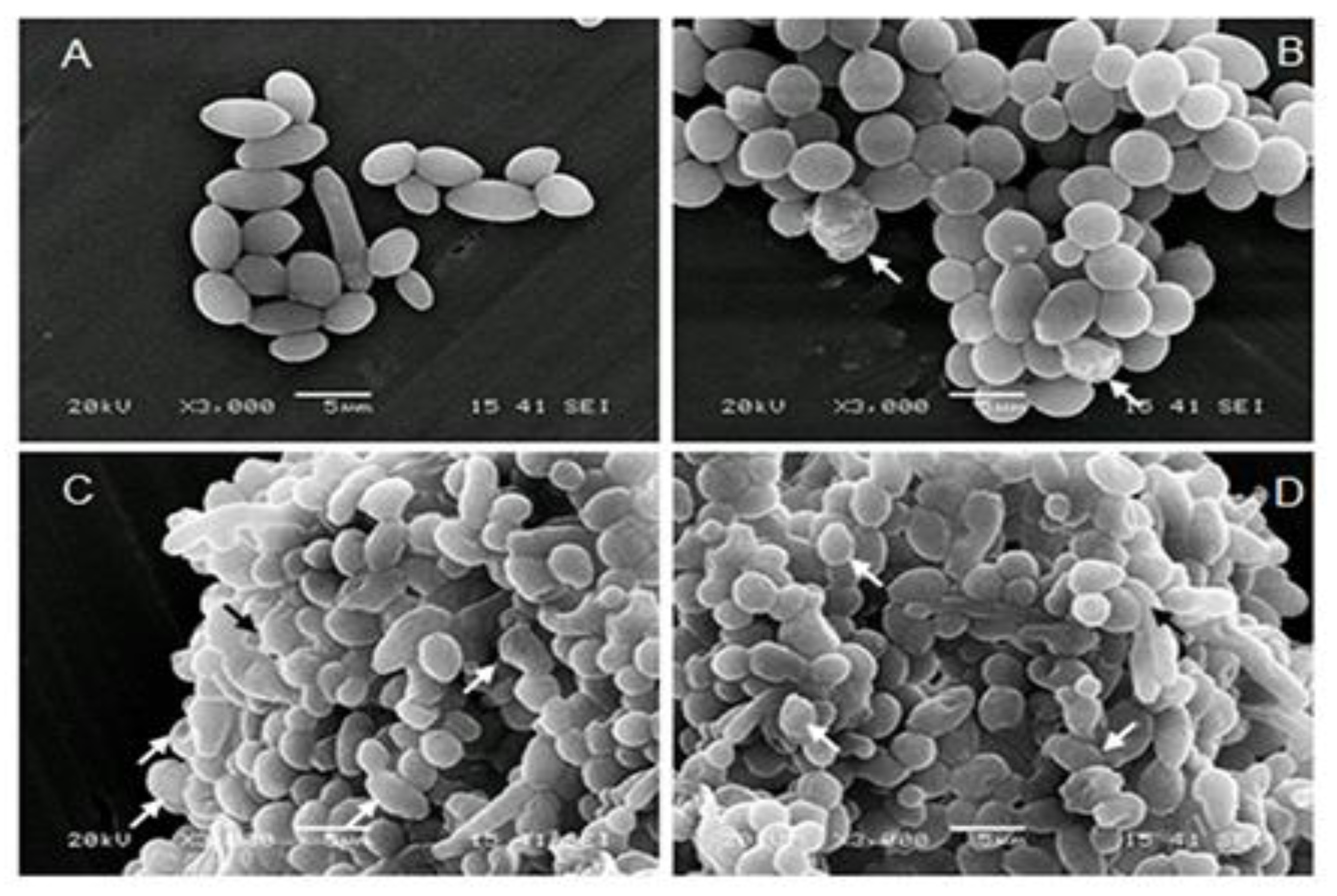 Antibiotics 08 00010 g003