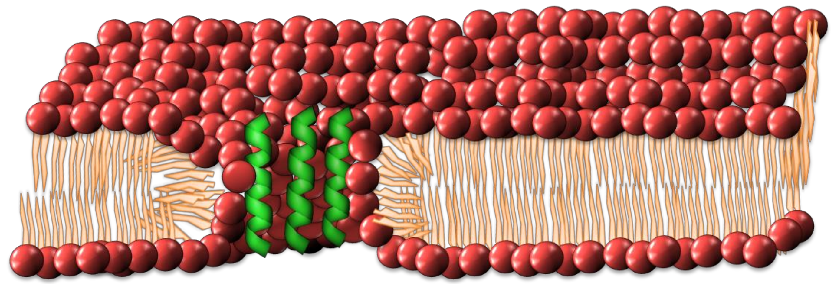 Antibiotics 08 00012 g003