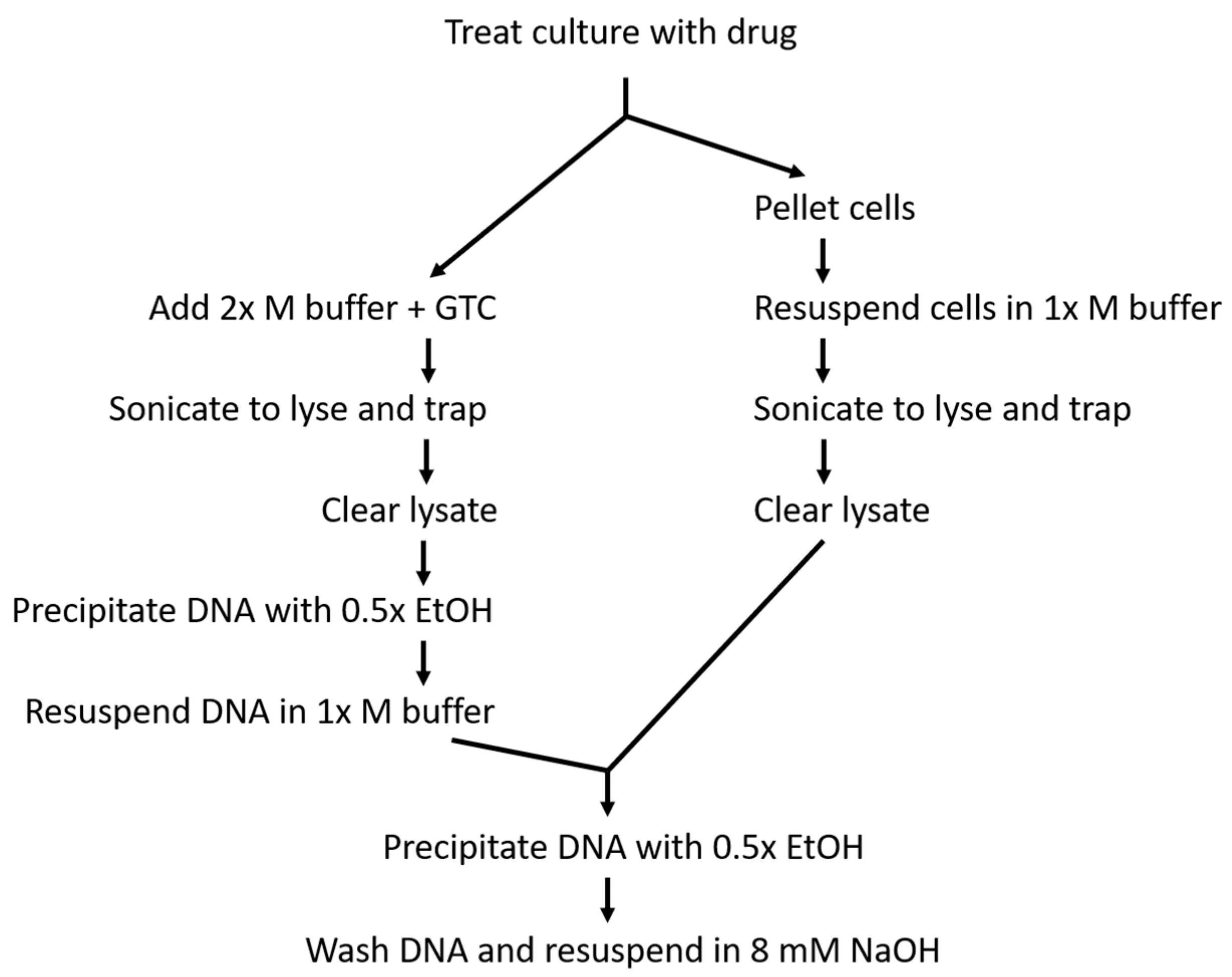 Antibiotics 08 00017 g002