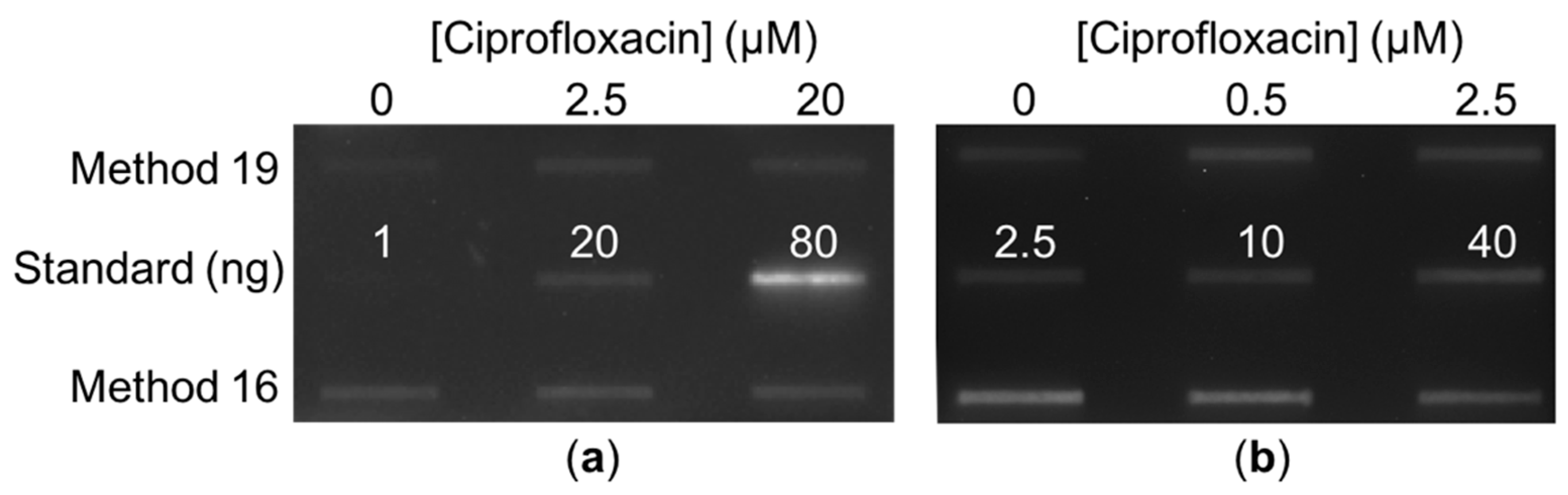 Antibiotics 08 00017 g004